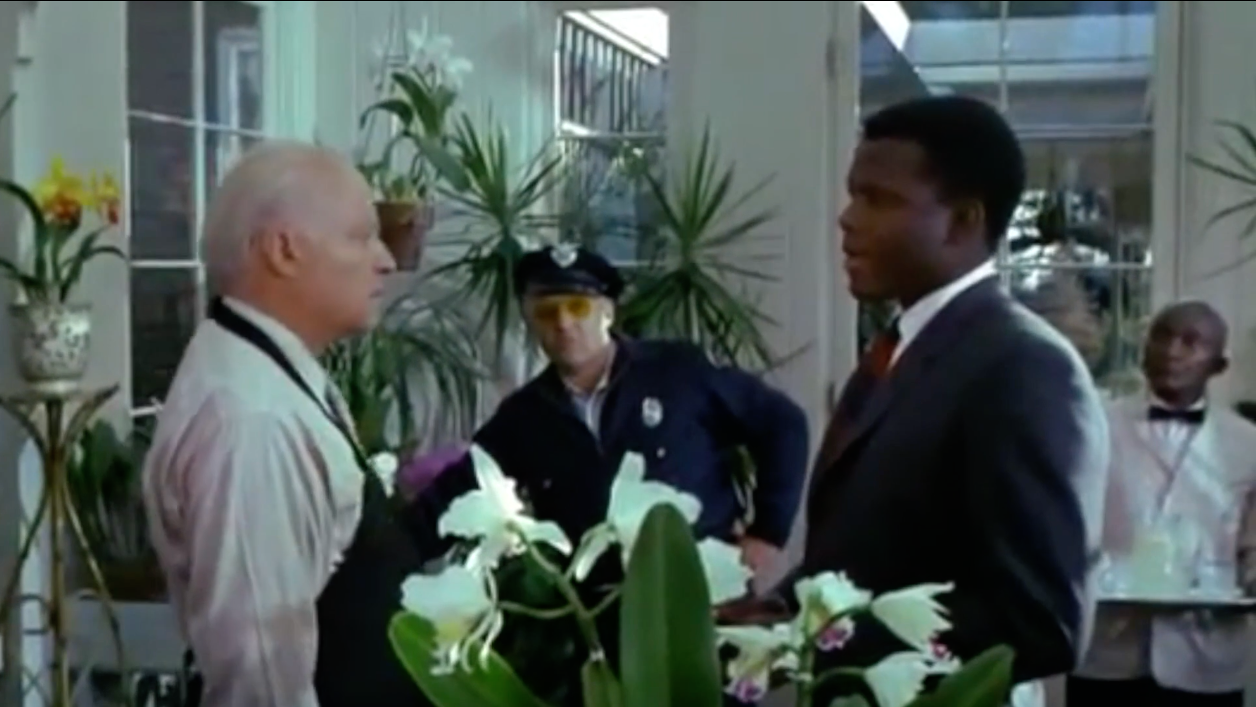 Screen Shot 2021-08-09 at 11.36.07 AM.png