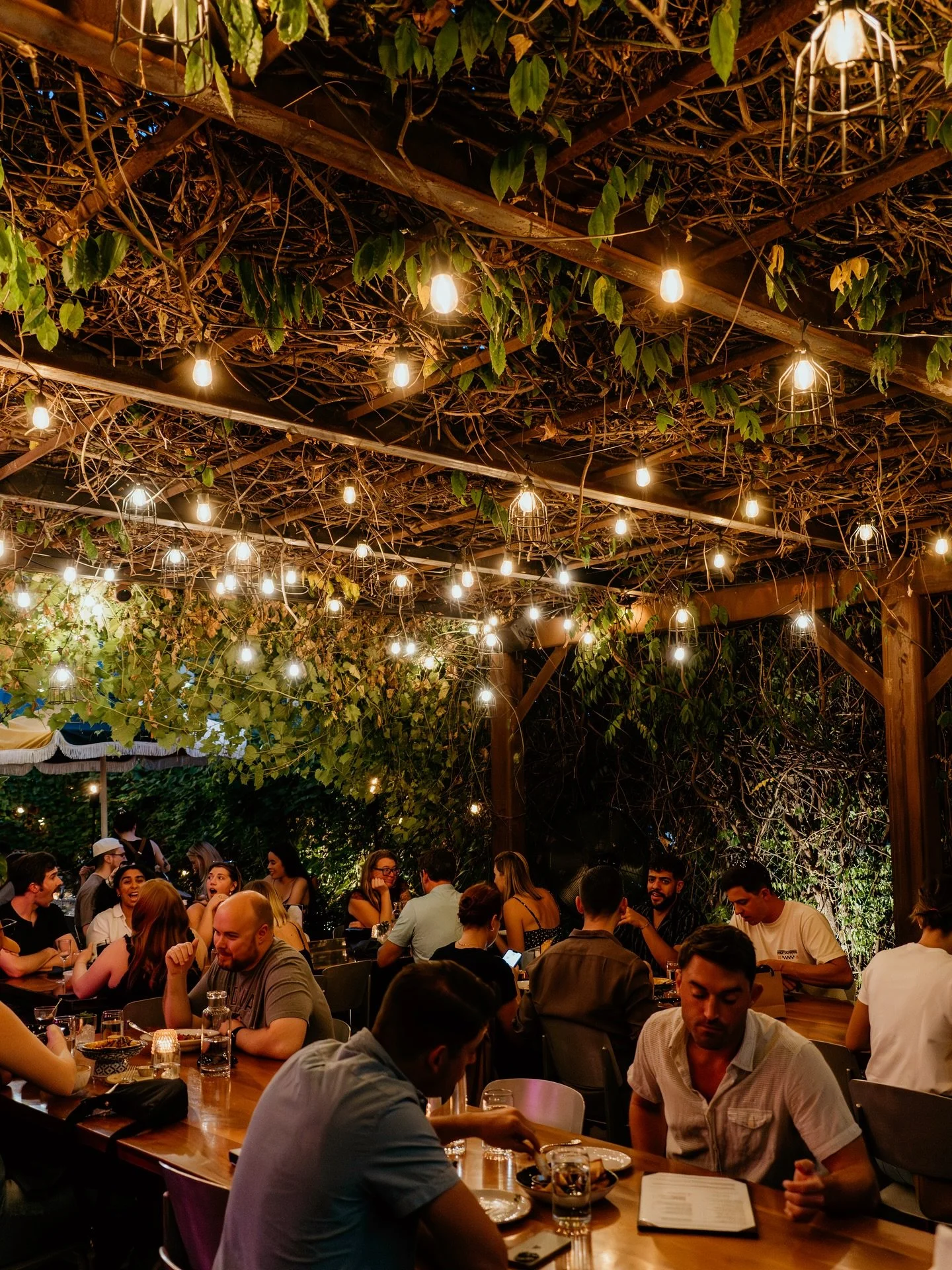 Bougainvillea Weddings | Wedding Planner at San Miguel de Allende México, image size:1440x1920