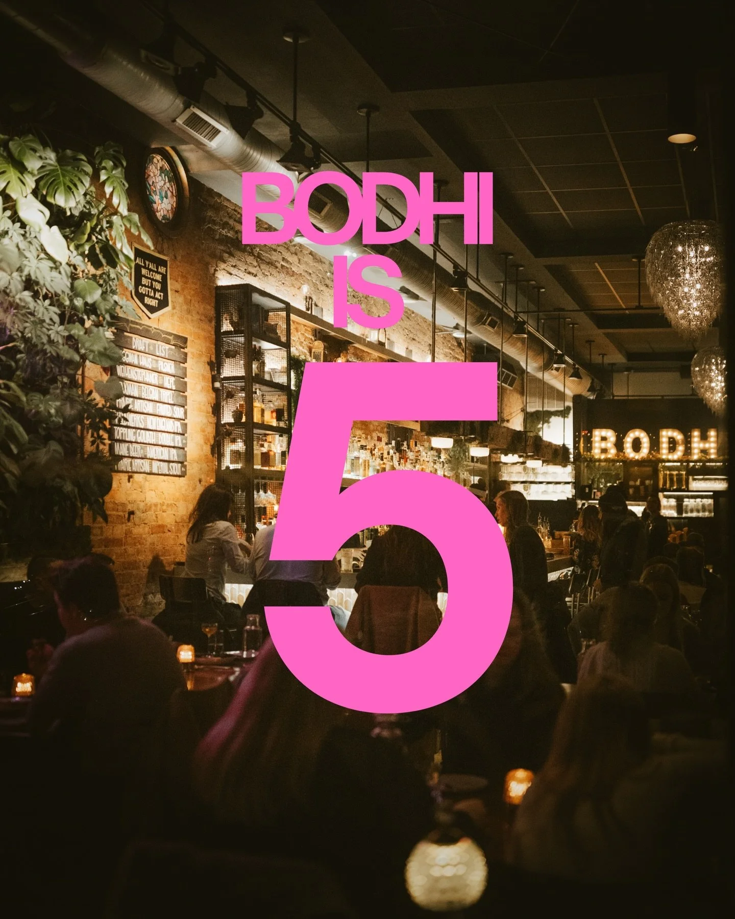 5 years of BODHI 💚🎉

we&rsquo;ve been dreaming of having a place of our own for over a decade&hellip; and finally took the leap ✨

opening in the middle of a pandemic definitely wasn&rsquo;t the plan 😅 but somehow it led us to all of you

from tak