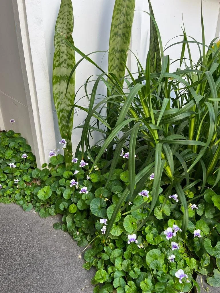 Svalbe&Co_AbbeyRetreat_PrivateGarden (4).jpg