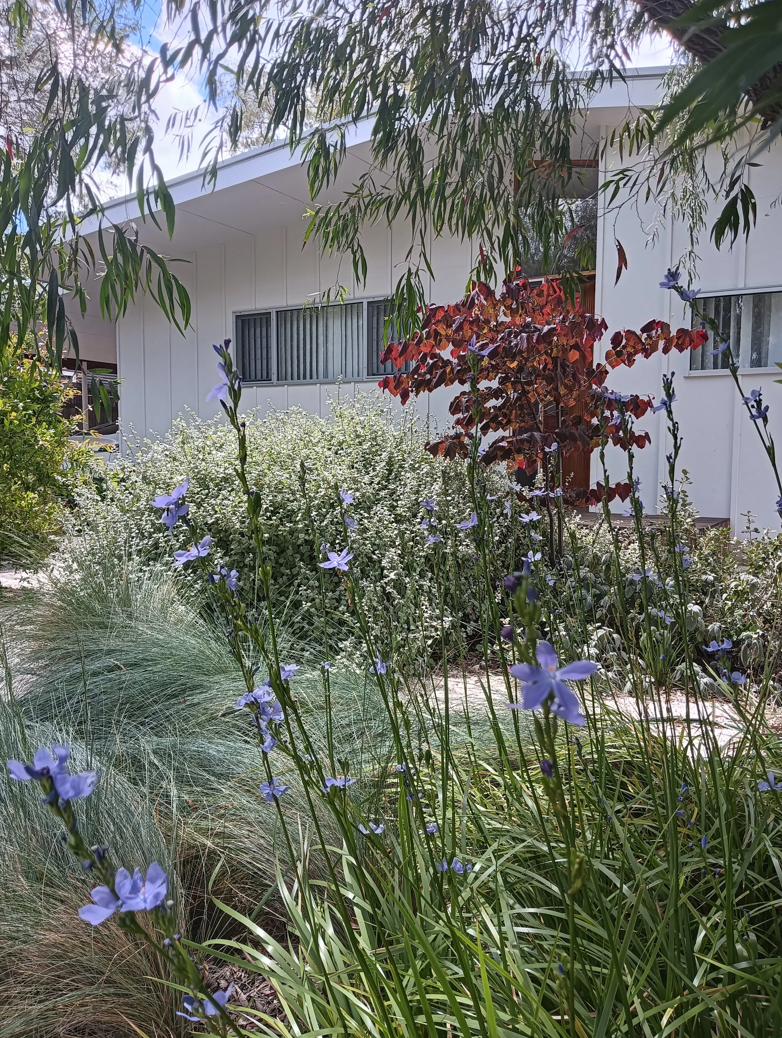 Svalbe&Co_AbbeyRetreat_PrivateGarden (33).jpg