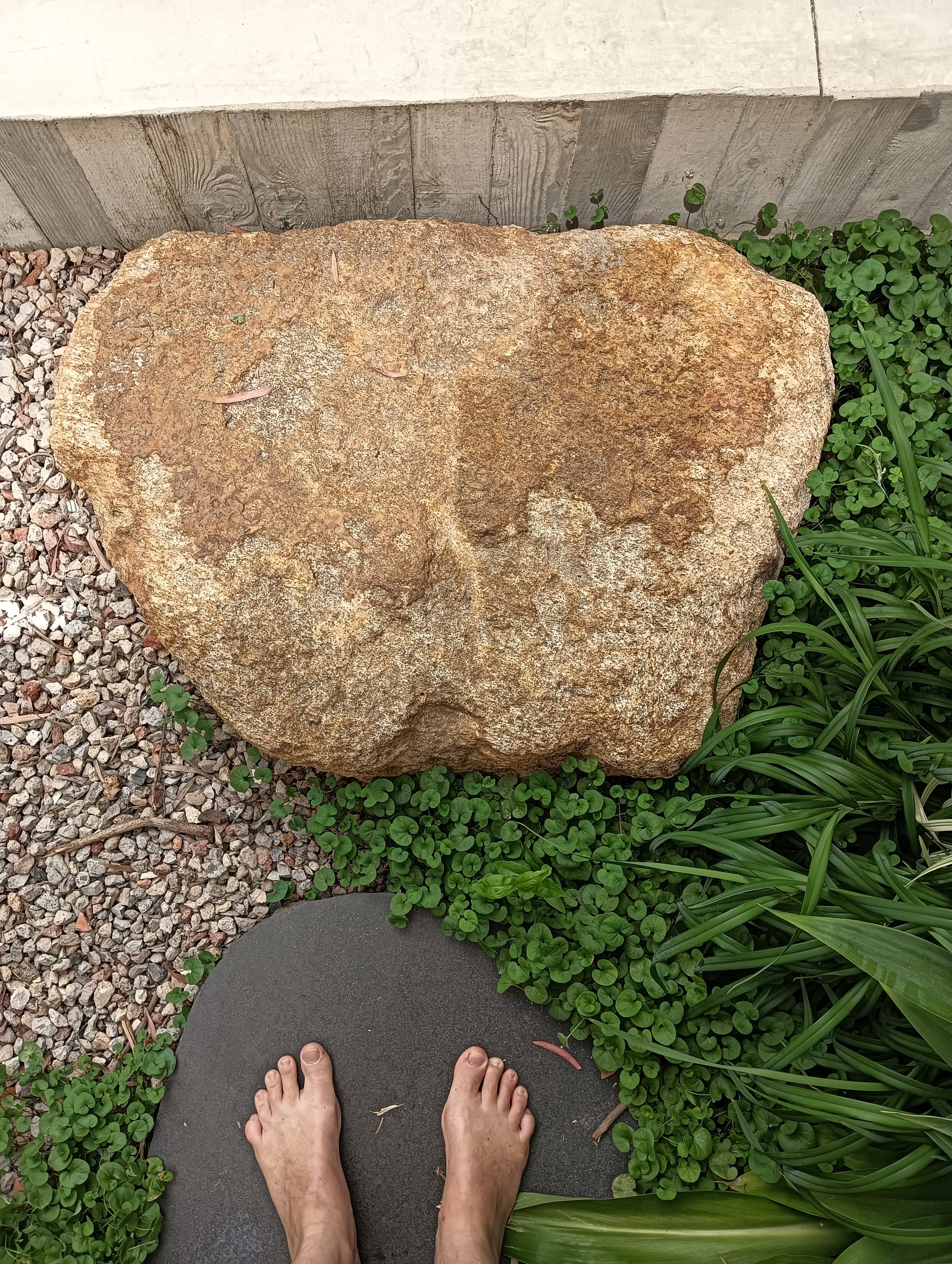 Svalbe&Co_AbbeyRetreat_PrivateGarden (13).jpg