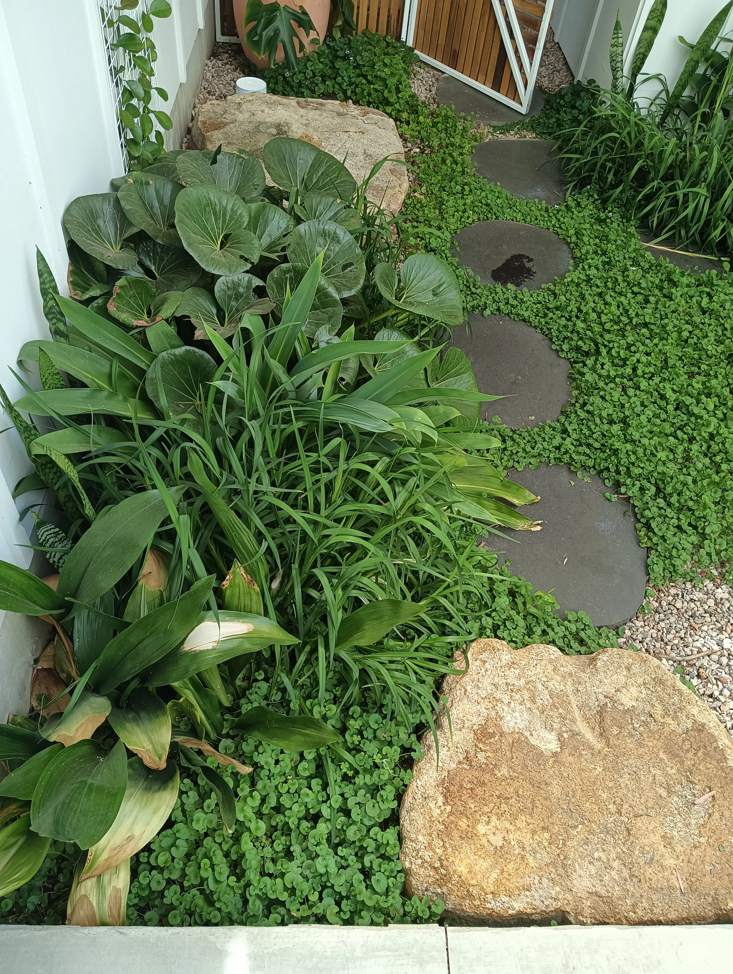 Svalbe&Co_AbbeyRetreat_PrivateGarden (9).jpg