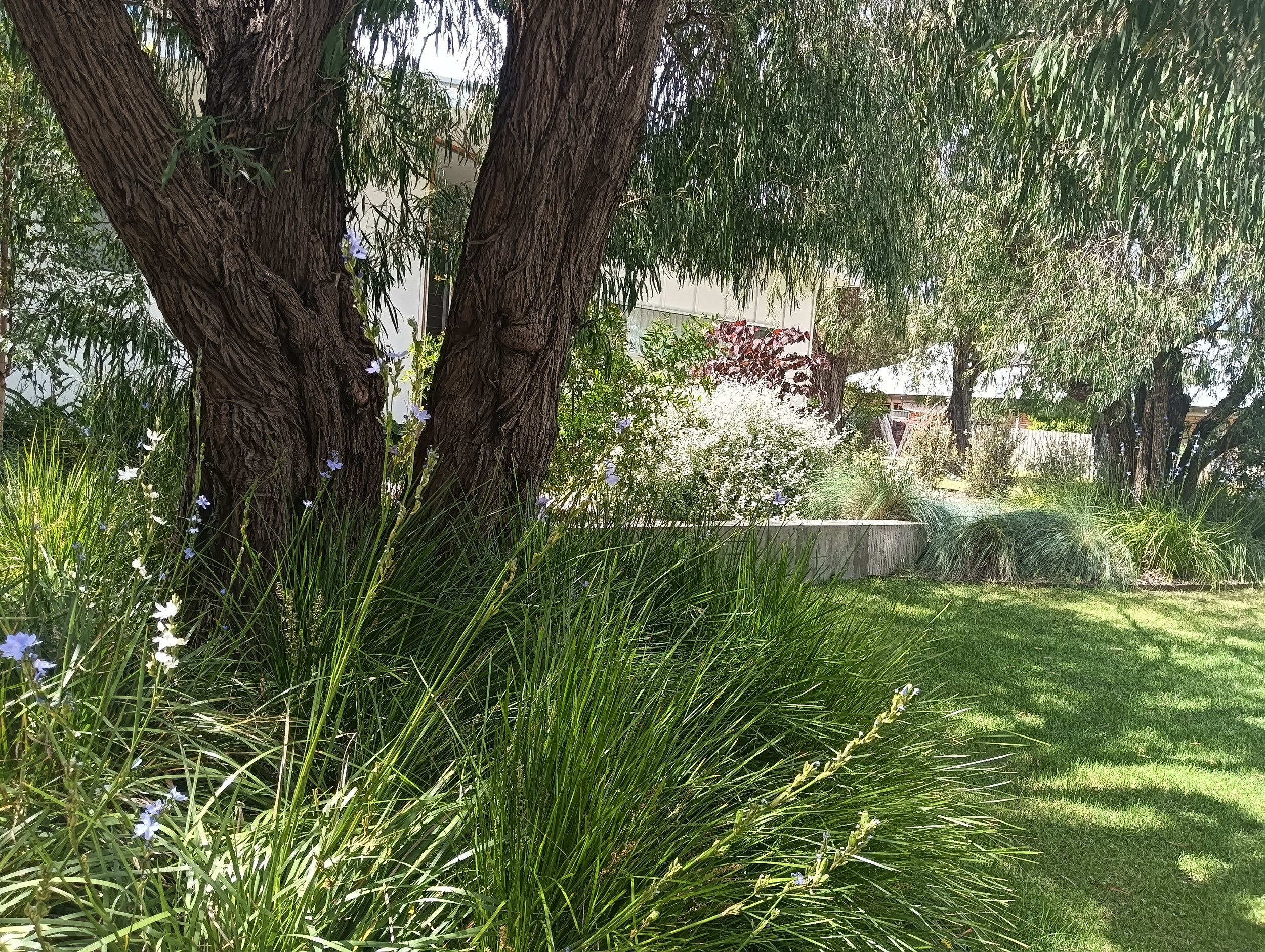 Svalbe&Co_AbbeyRetreat_PrivateGarden (29).jpg