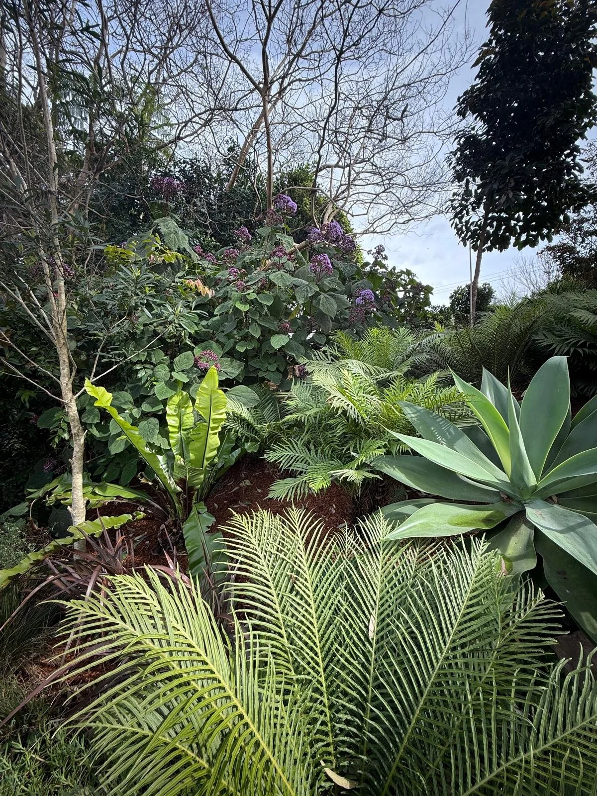 WhatsApp Image 2025-09-09 at 08.39.14_7f9e2458.jpg