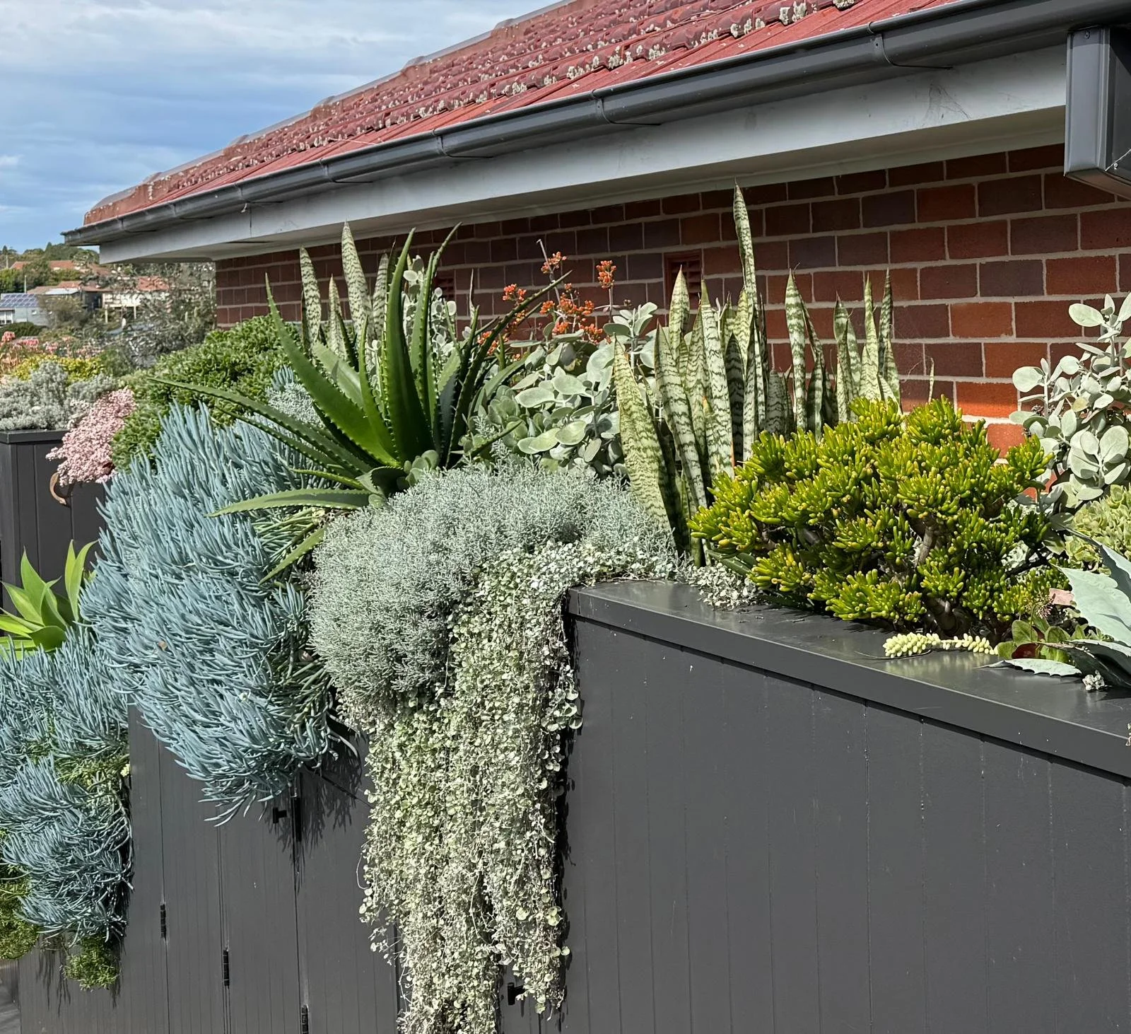 WhatsApp Image 2025-09-09 at 08.38.05_c8c43df9.jpg