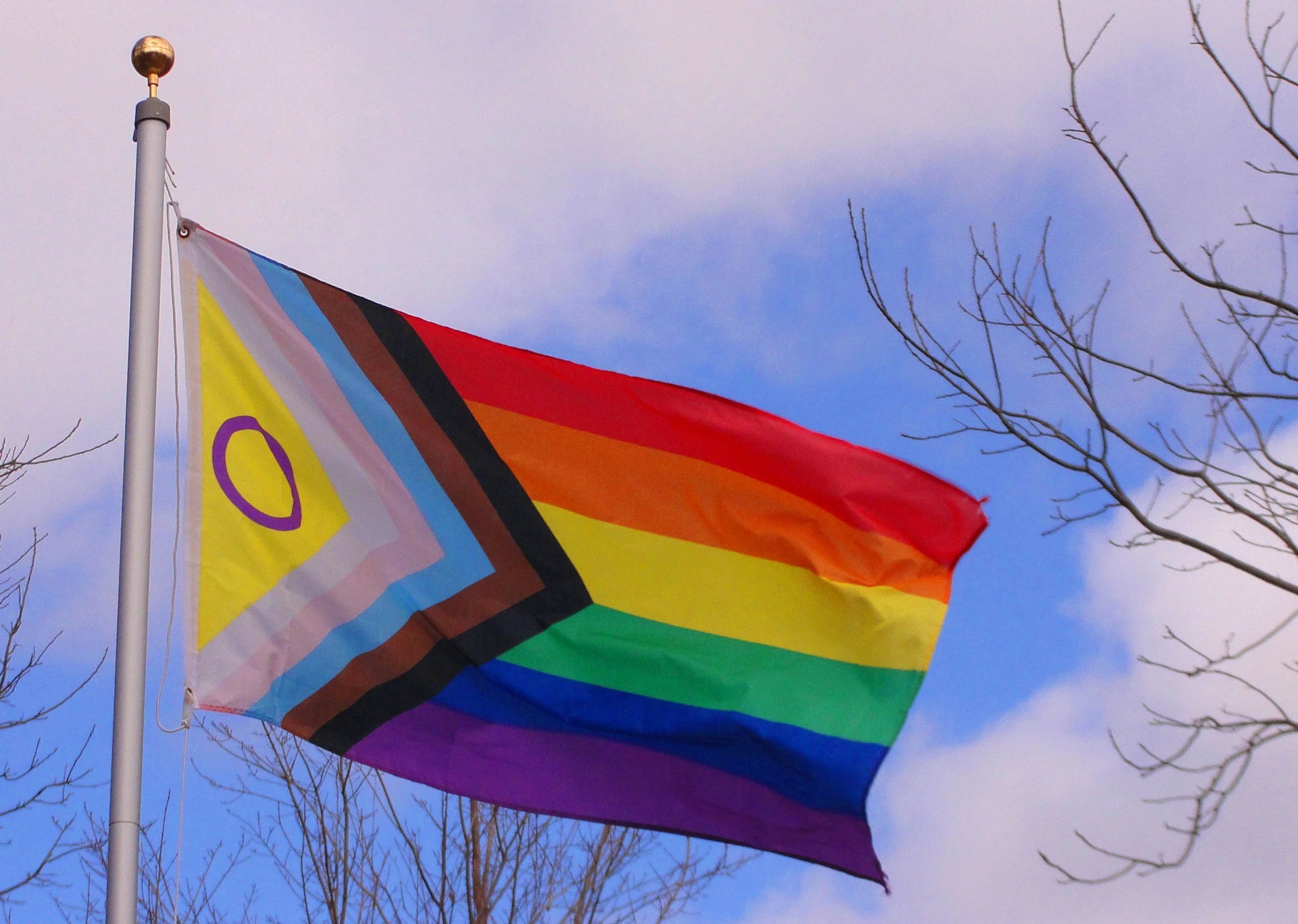 Rainbow pride flag with black, brown, light blue, white, pink, red, orange, yellow, green, blue, and purple stripes, flying on a flagpole against a partly cloudy sky with leafless tree branches.