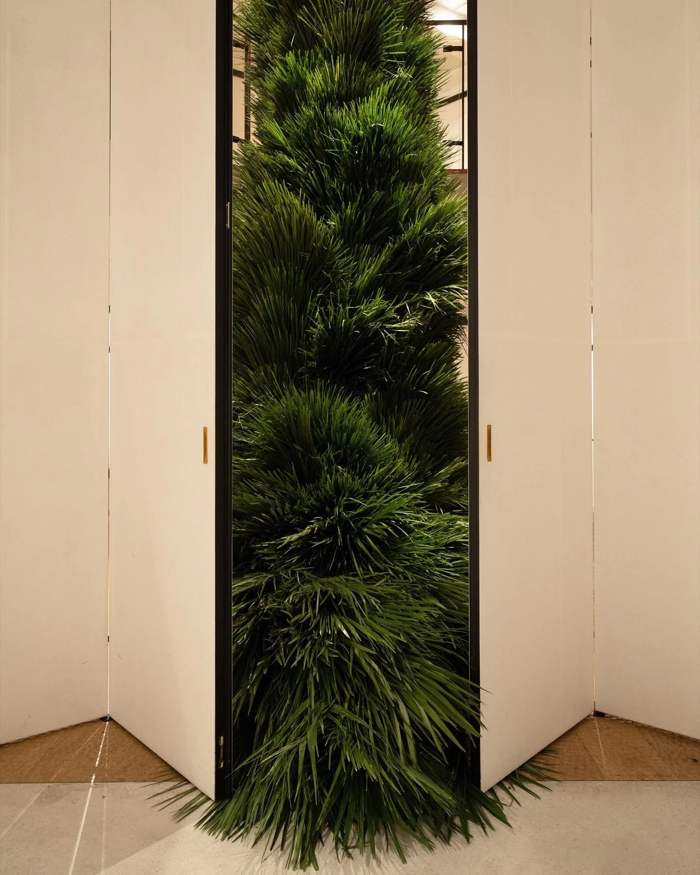 NENGE avec SATOSHI KAWAMOTO 2.jpeg