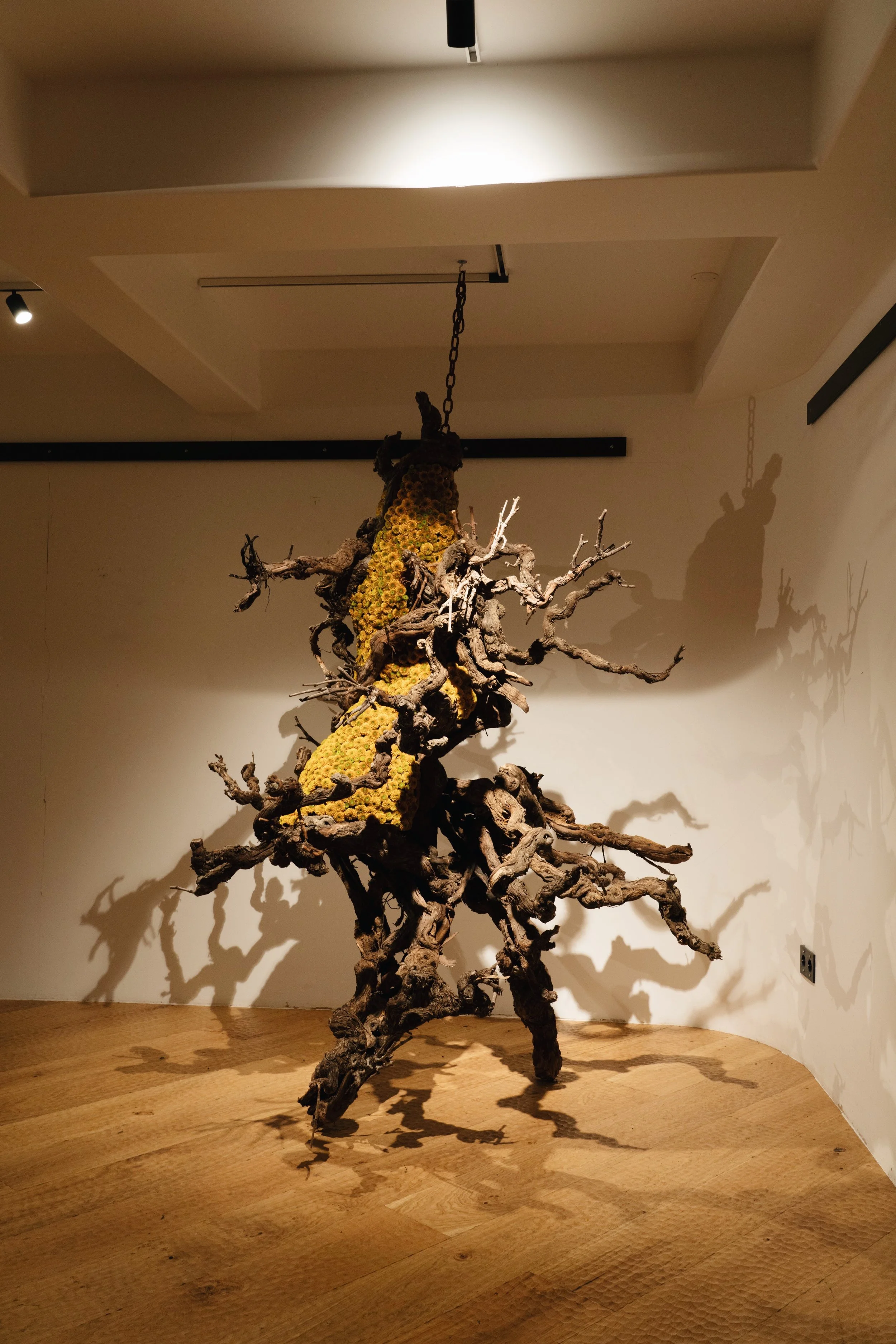 NENGE avec SATOSHI KAWAMOTO 6.jpeg