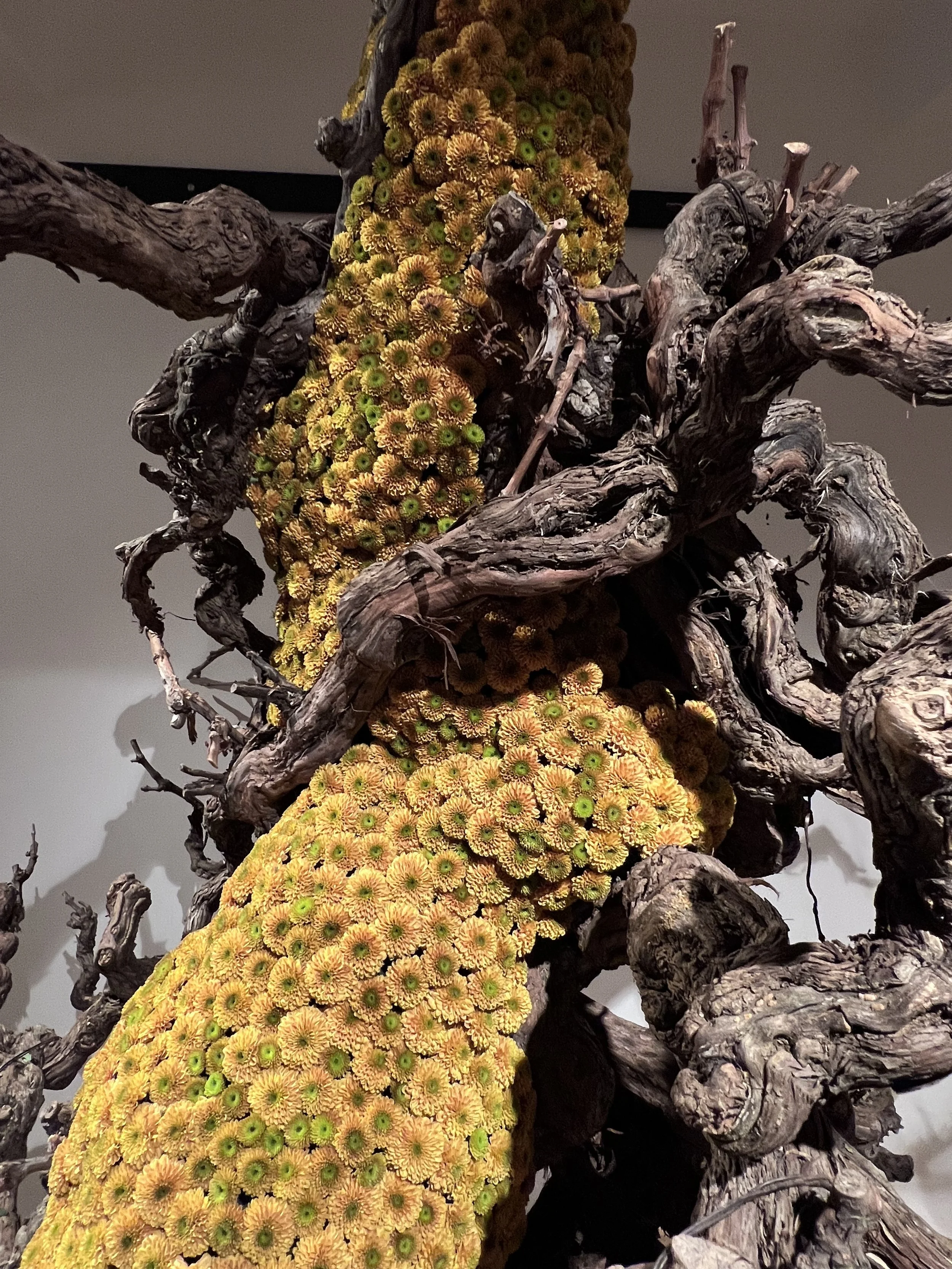 NENGE avec SATOSHI KAWAMOTO 28.jpeg