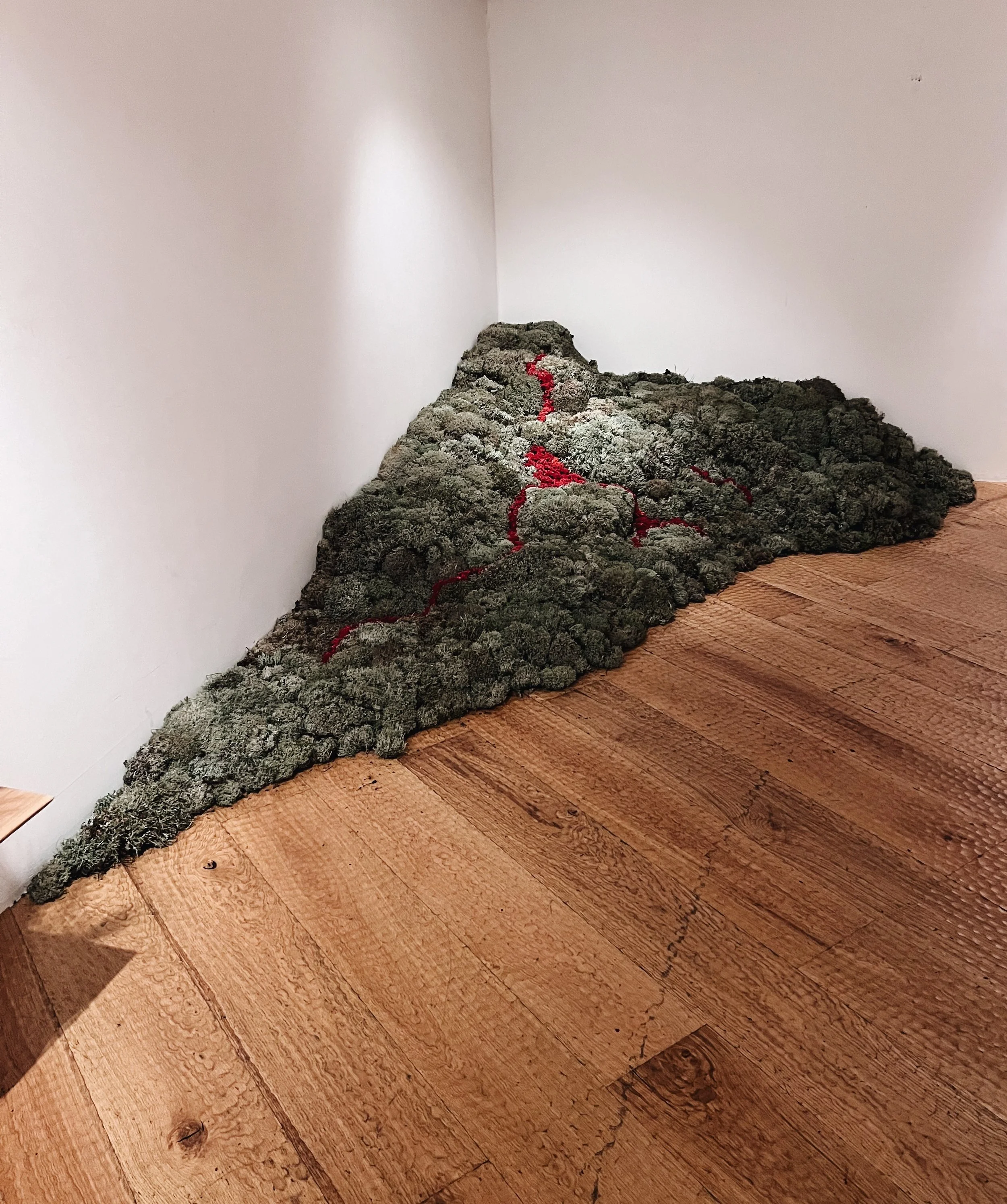 NENGE avec SATOSHI KAWAMOTO 5.jpeg