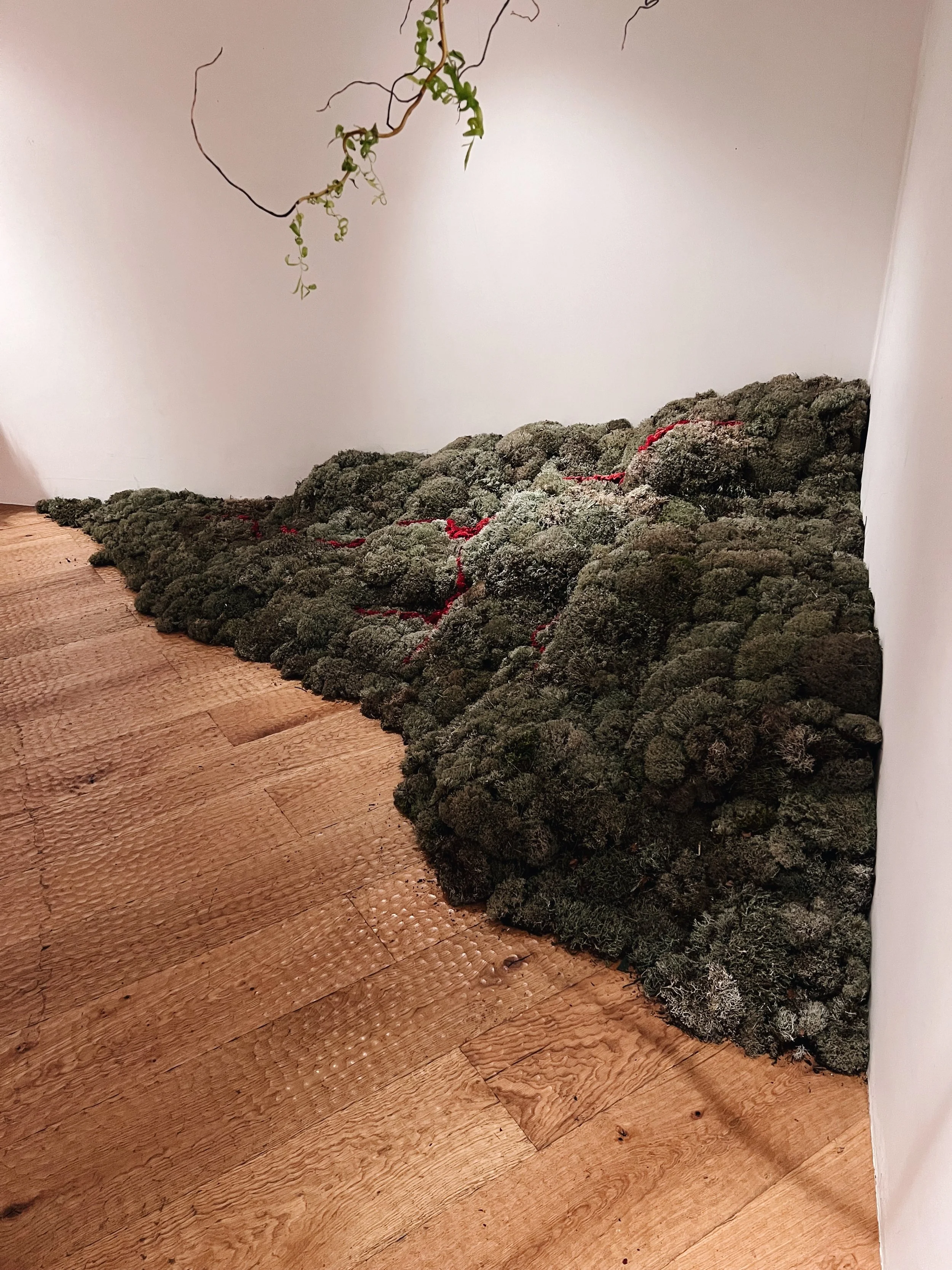 NENGE avec SATOSHI KAWAMOTO 7.jpeg