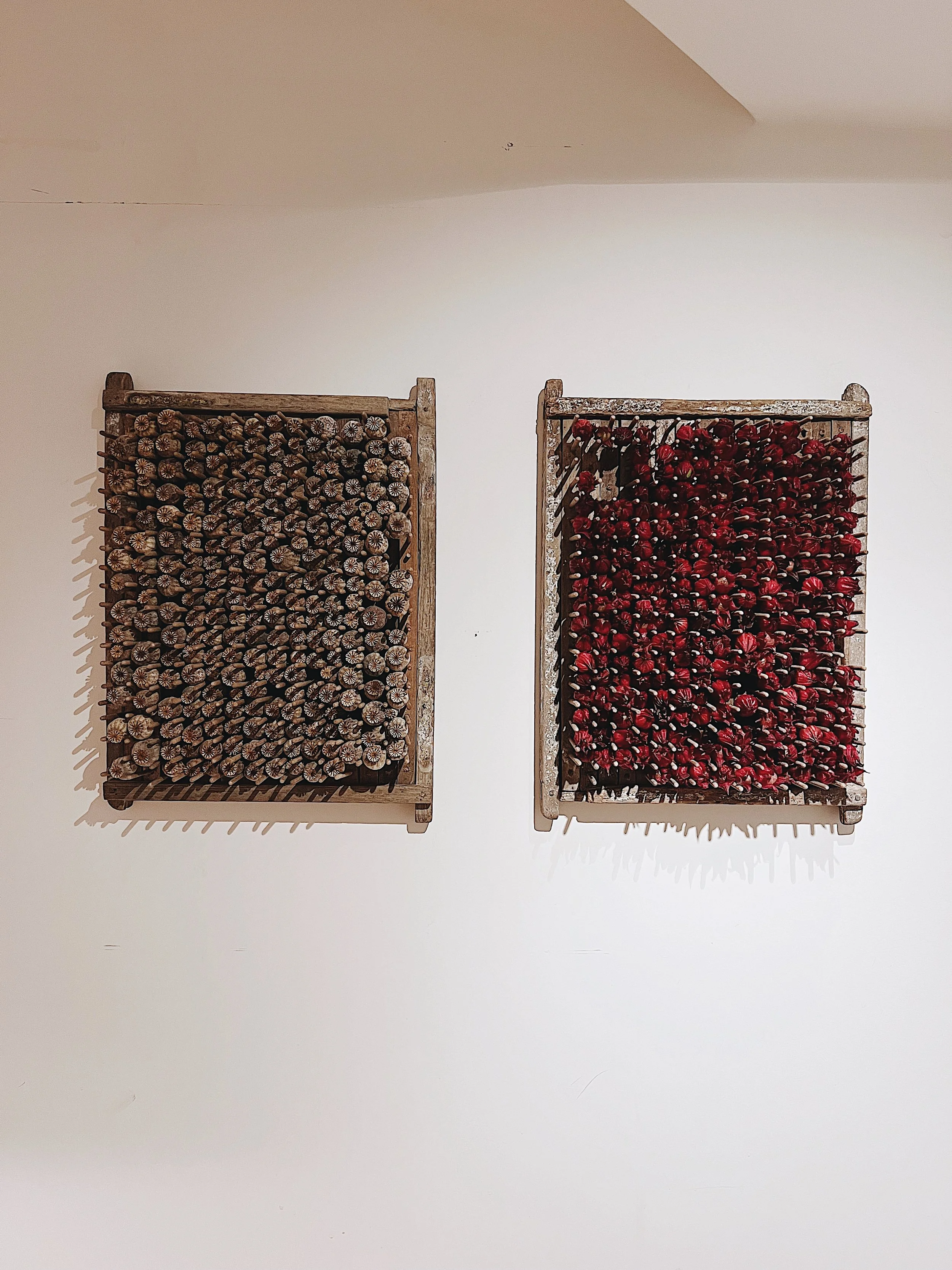 NENGE avec SATOSHI KAWAMOTO 8.jpeg