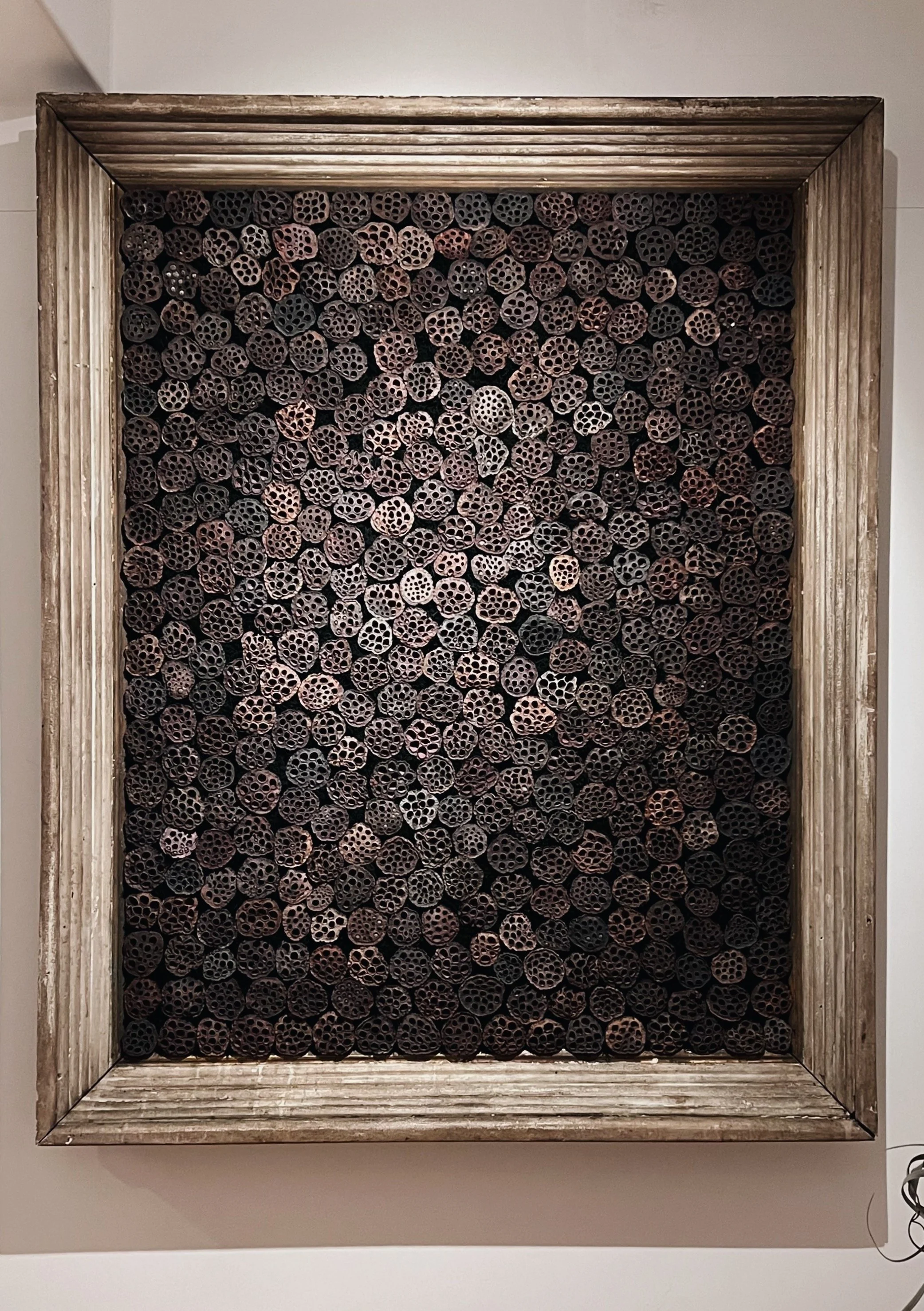 NENGE avec SATOSHI KAWAMOTO 4.jpeg