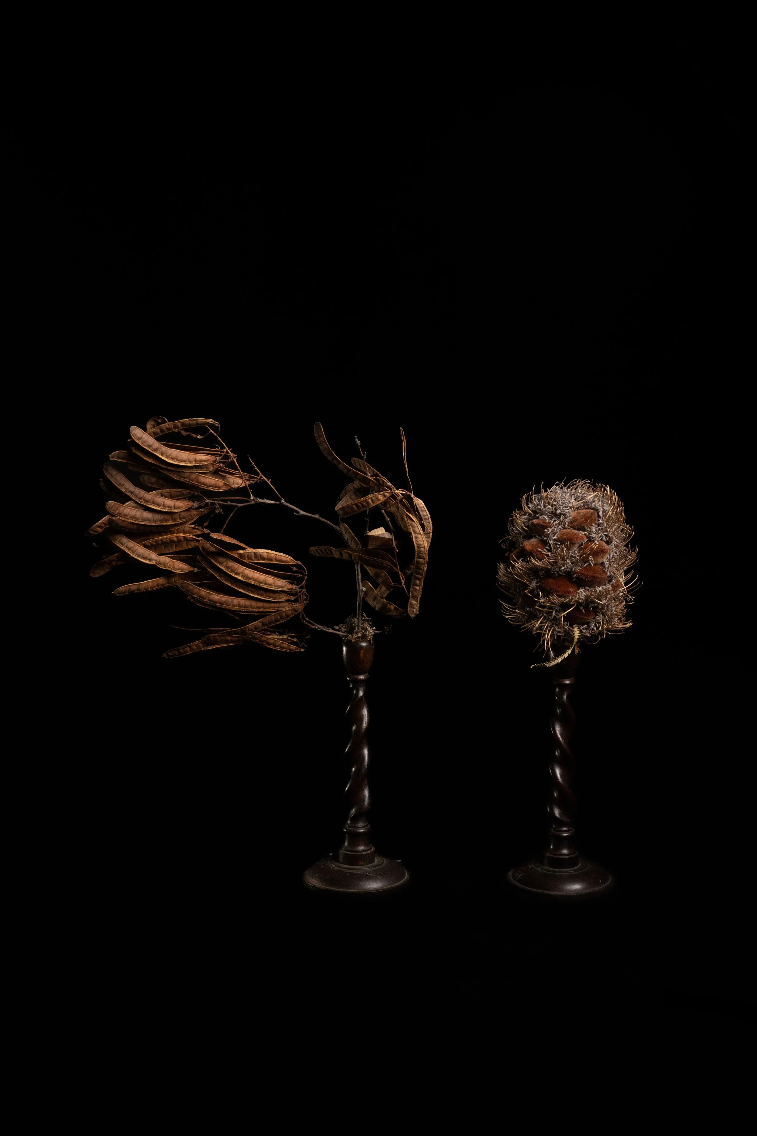 NENGE avec SATOSHI KAWAMOTO 11.jpeg