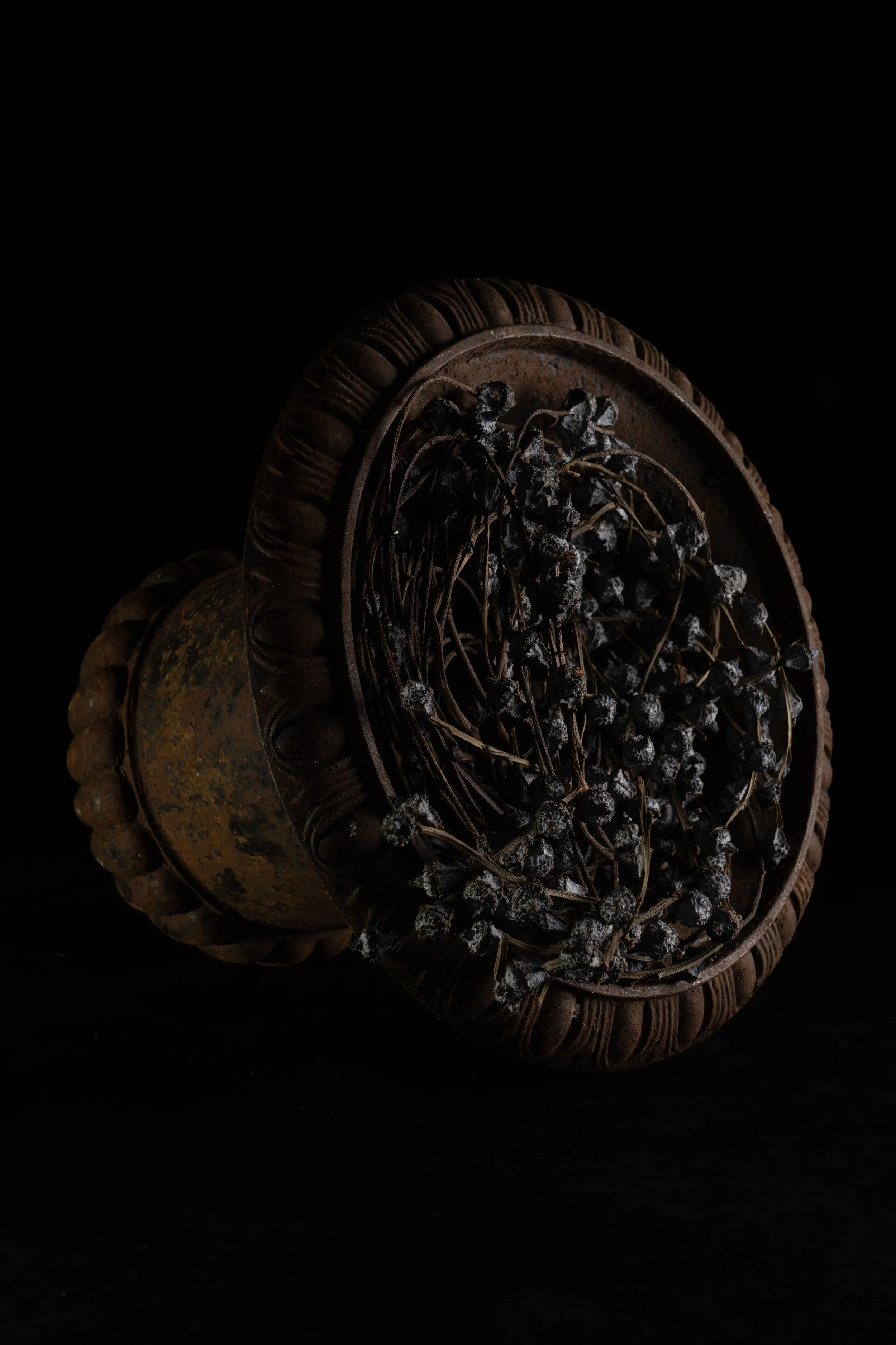 NENGE avec SATOSHI KAWAMOTO 15.jpeg