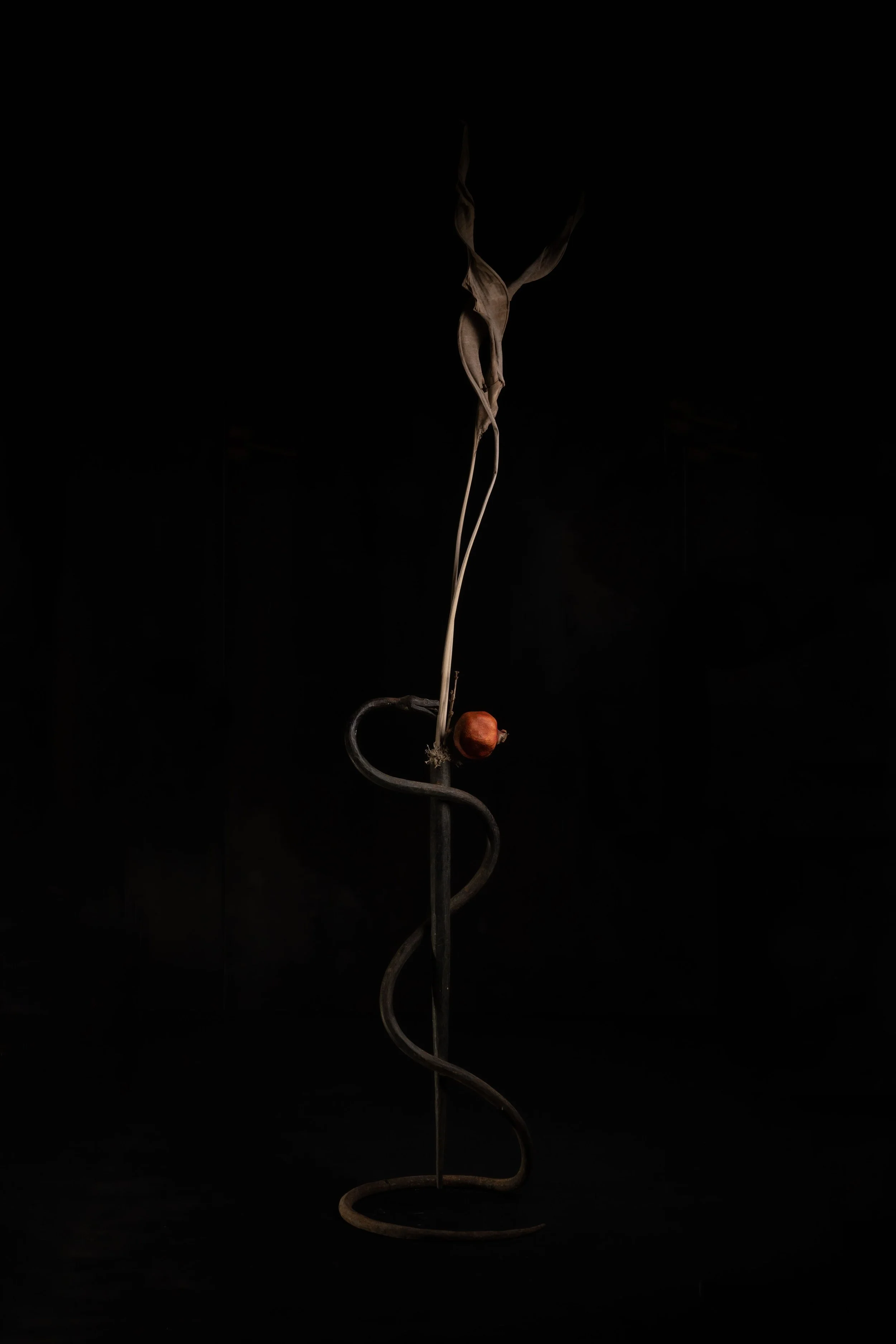 NENGE avec SATOSHI KAWAMOTO 17.jpeg