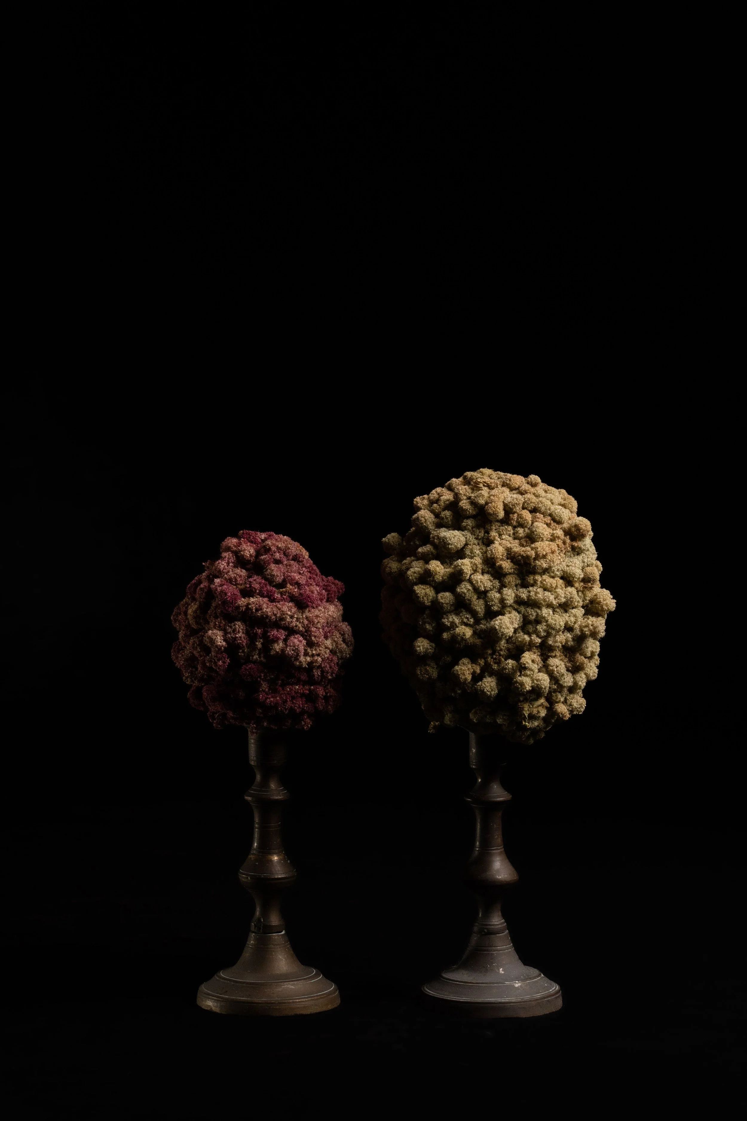 NENGE avec SATOSHI KAWAMOTO 12.jpeg