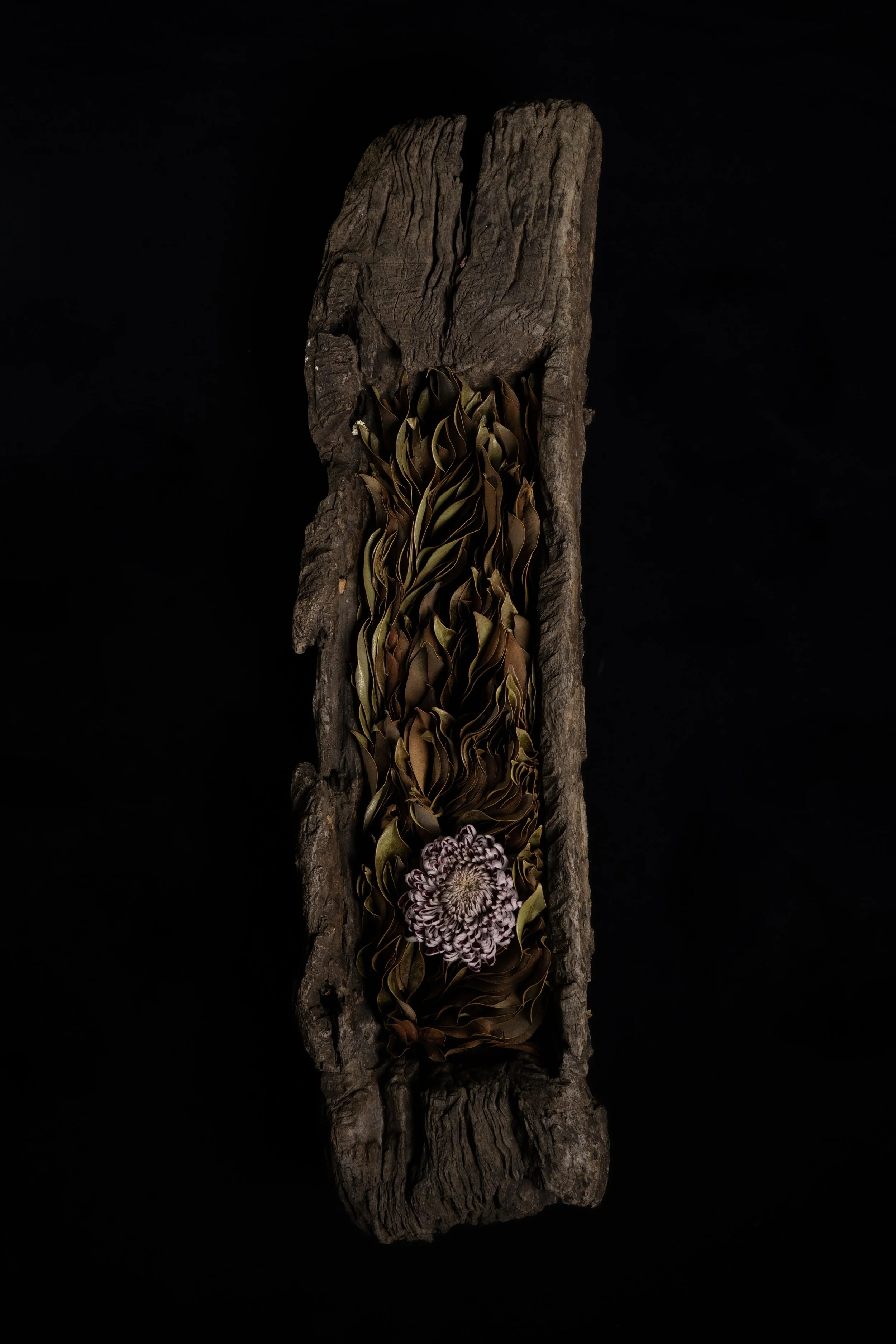 NENGE avec SATOSHI KAWAMOTO 27.jpeg