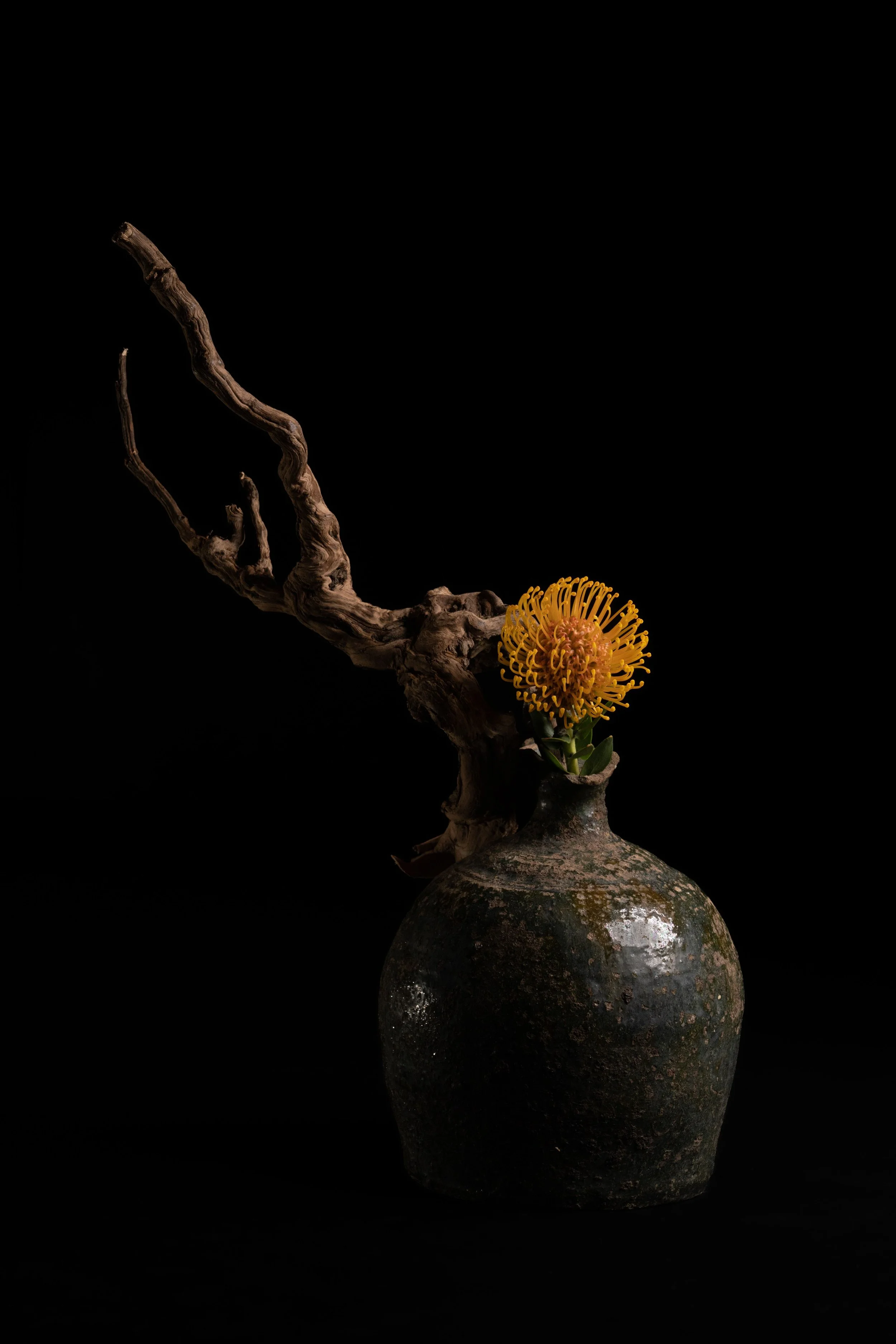 NENGE avec SATOSHI KAWAMOTO 24.jpeg