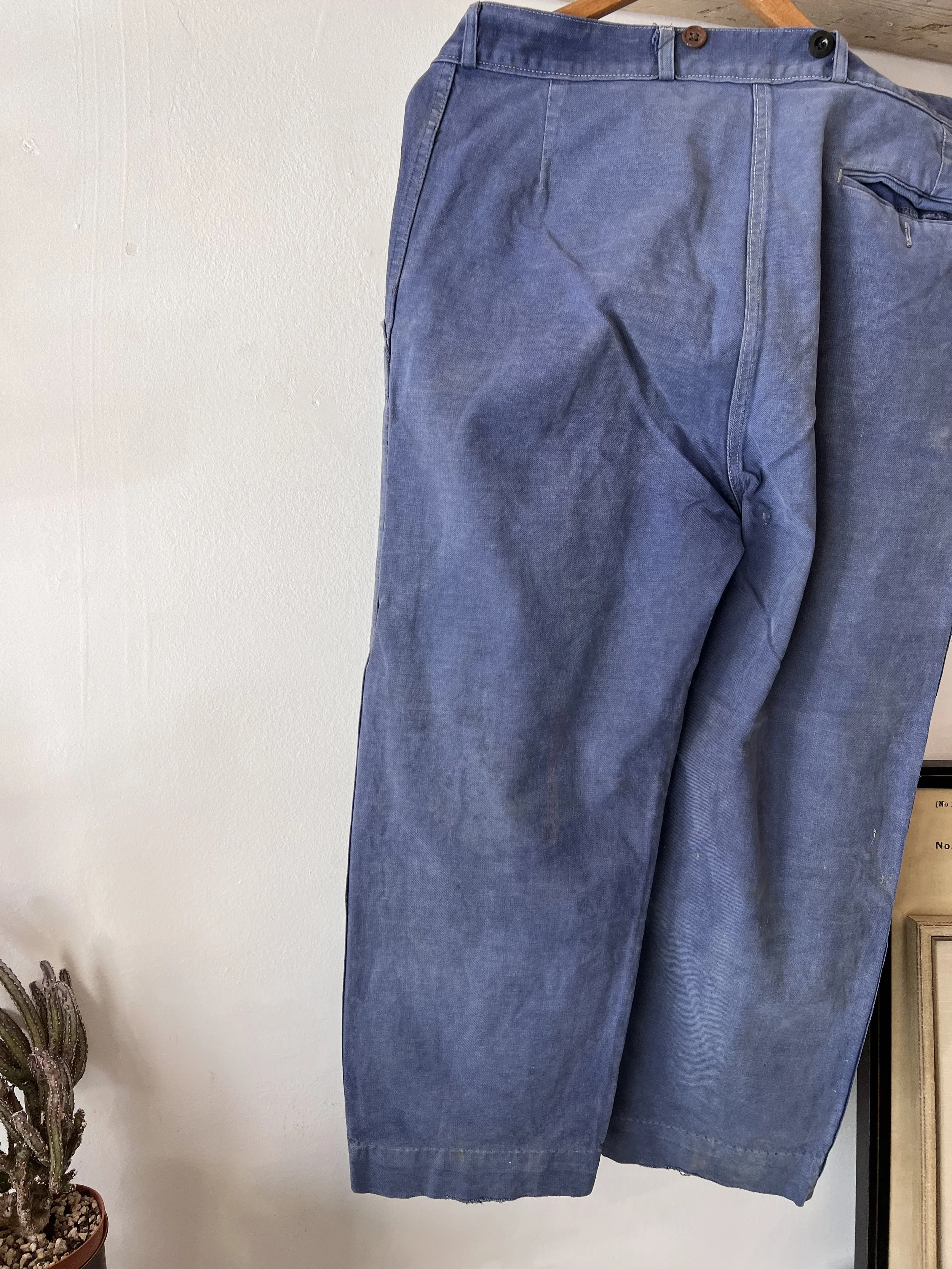 IMG_3536.jpeg