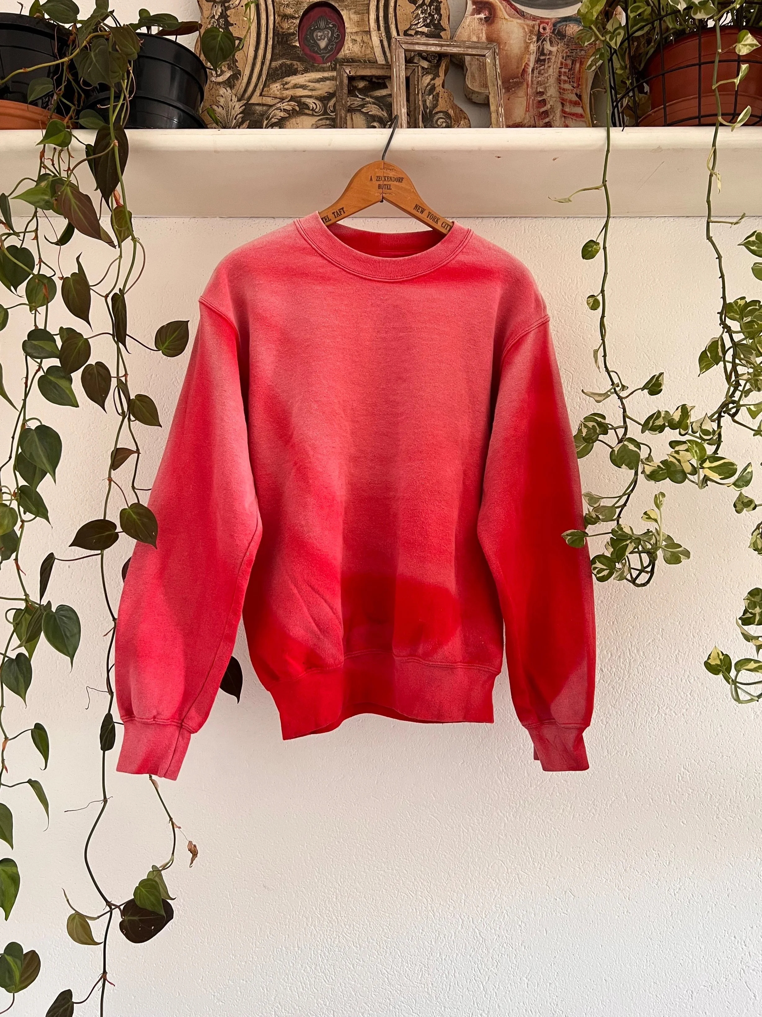 IMG_4737.jpg