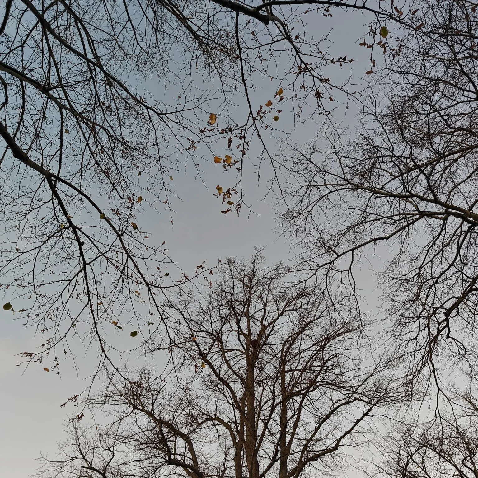 Change- letting it shape the studio.