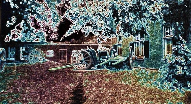 Y-2024-50 normaal.jpeg