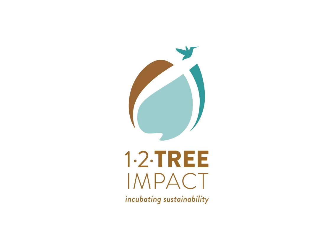  Conception et développement de l’identité visuelle (logo et charte graphique) de 12Tree faisant partie de l'écosystème 12Tree 