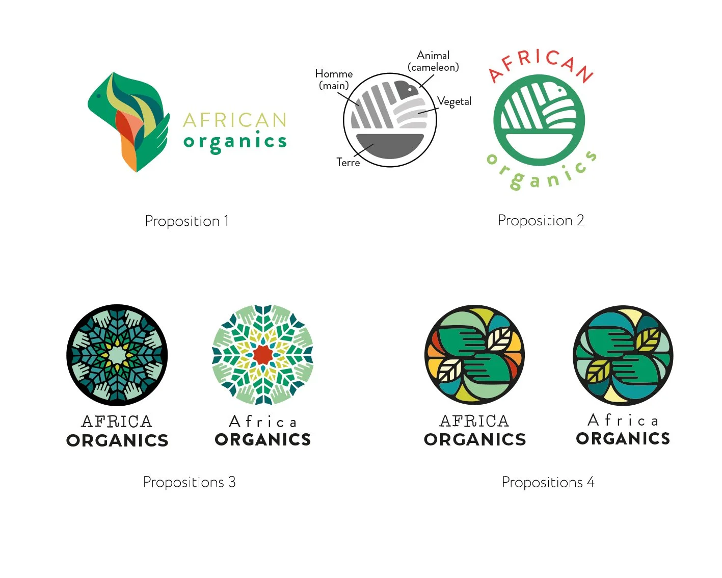  Extrait du travail de recherche derrière la conception de l‘identité visuelle (logo et charte graphique) de Africa Organics     