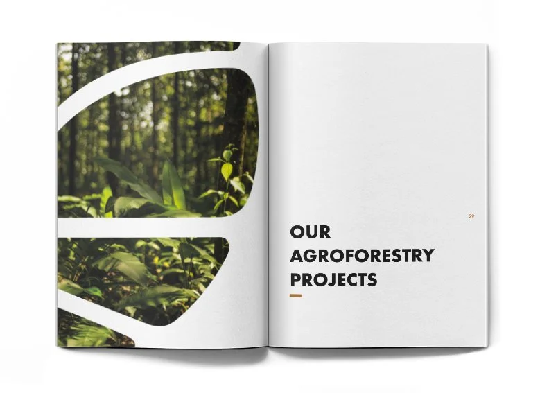 Rapport12Tree2021_P28-29.jpg