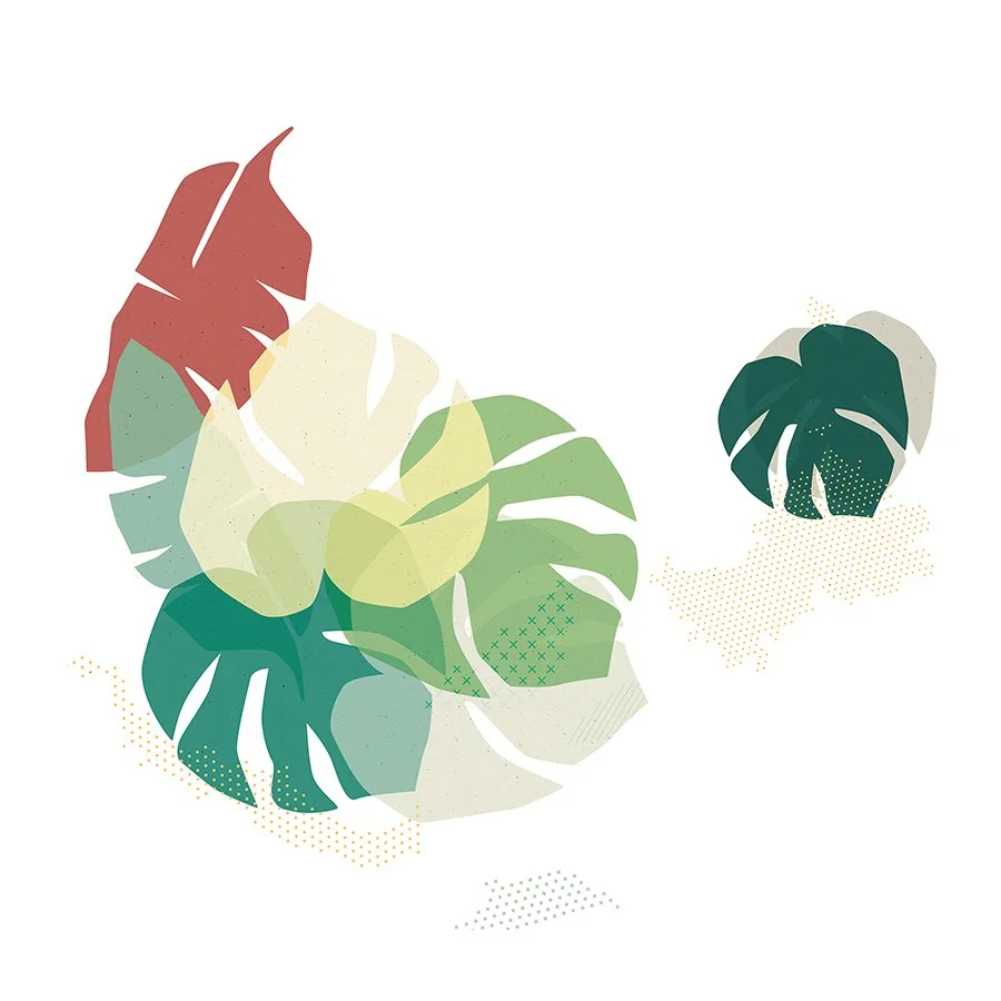  Images &amp; couleurs 