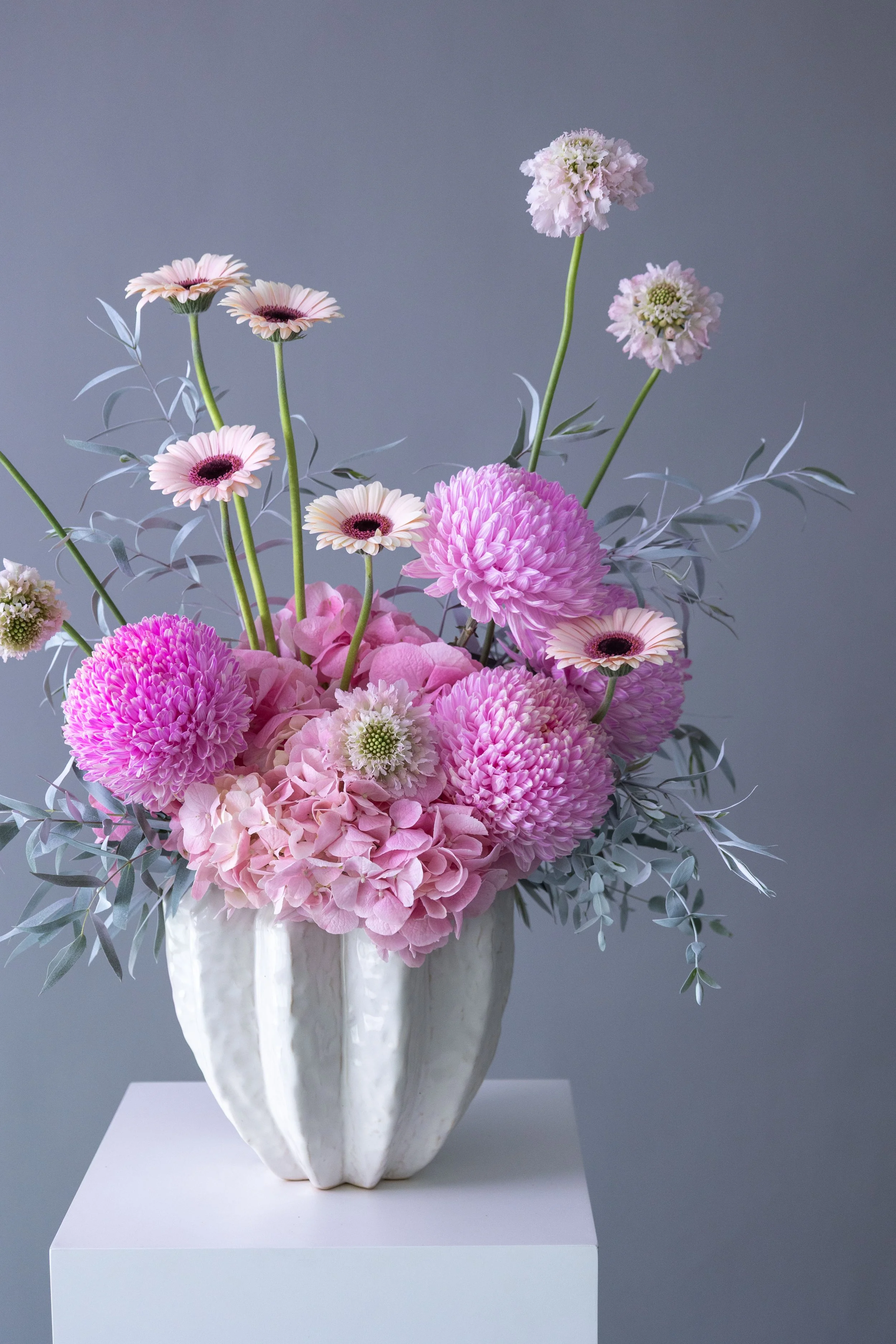 Product Photography Studio