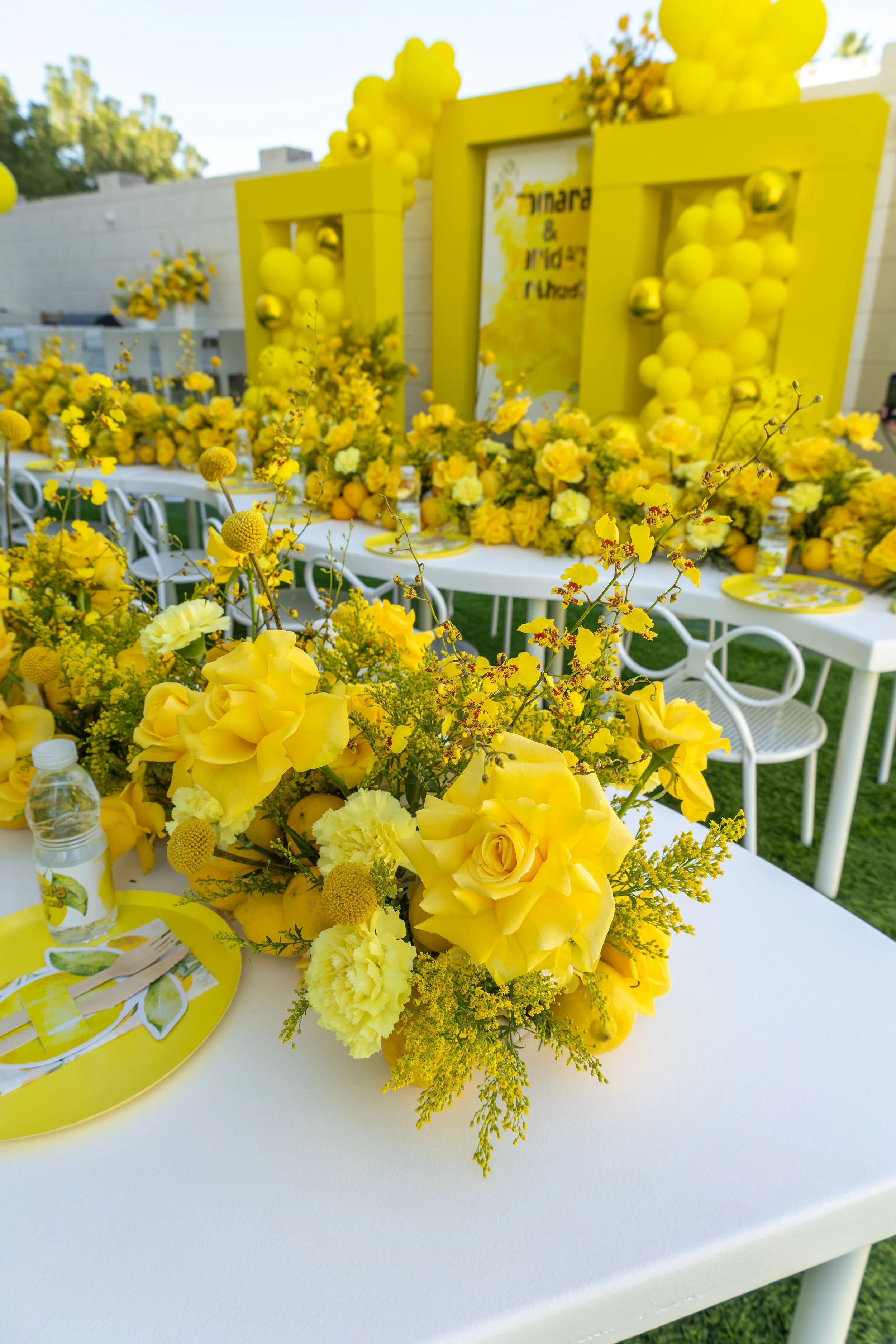 Private Themed Party