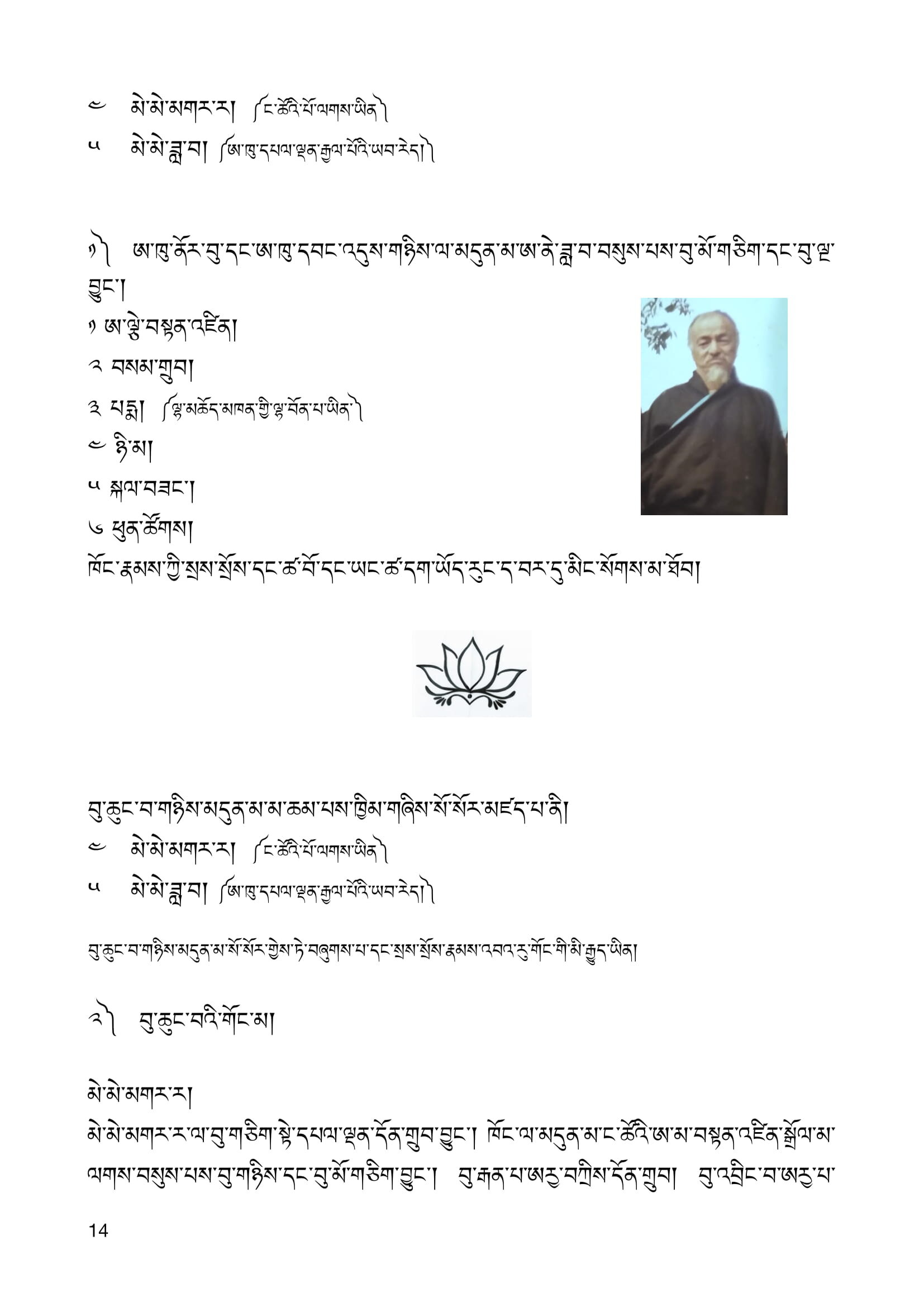 ༤ དོལ་པོ་་ཨརྱ་འབའ་རུ་གོང་གི་རུས་བཤད་ཁ་སྐོང་དང་མི་ཐོག་བཀོད་པ།-14.jpg