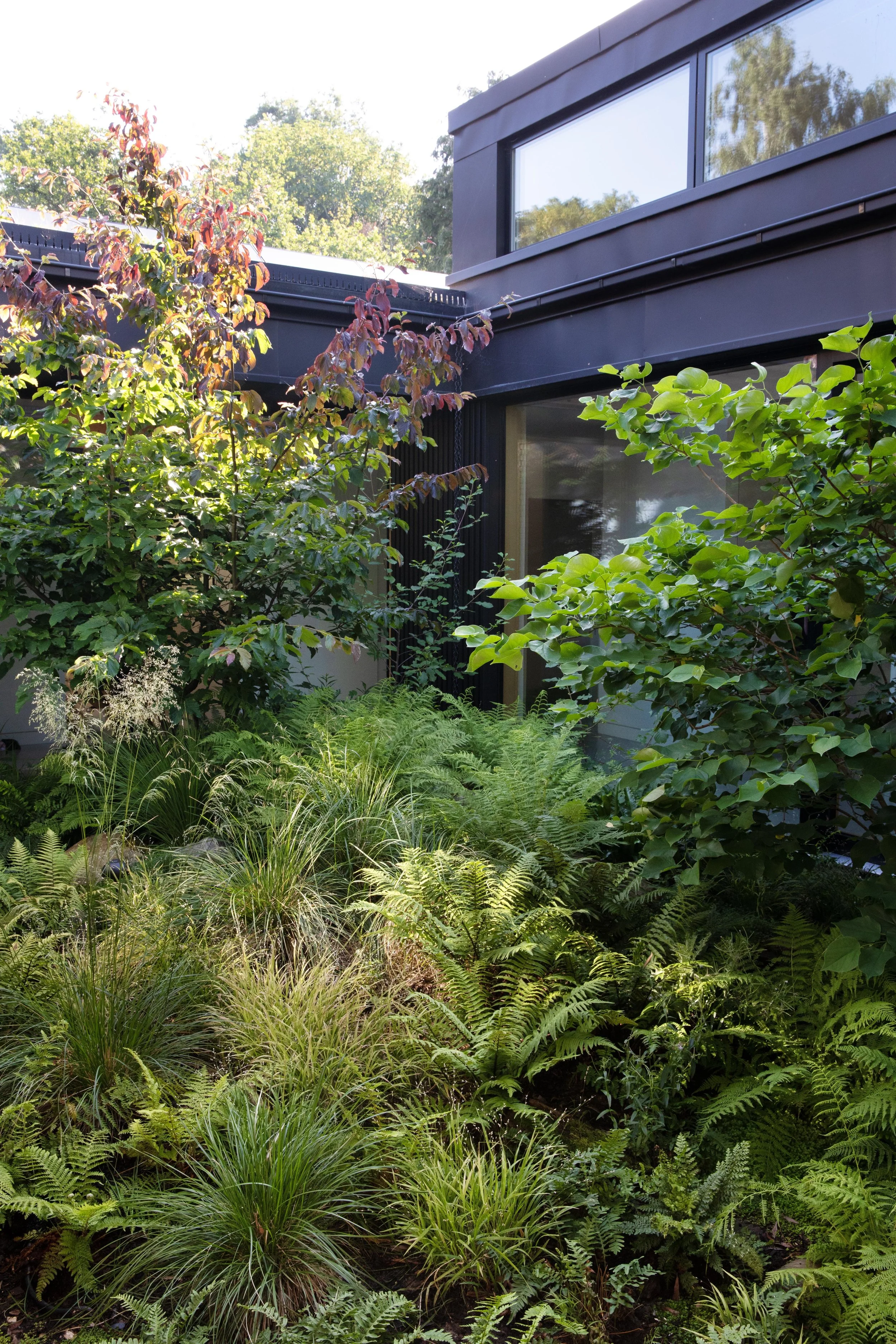 HamFarm_Garden_031.jpg