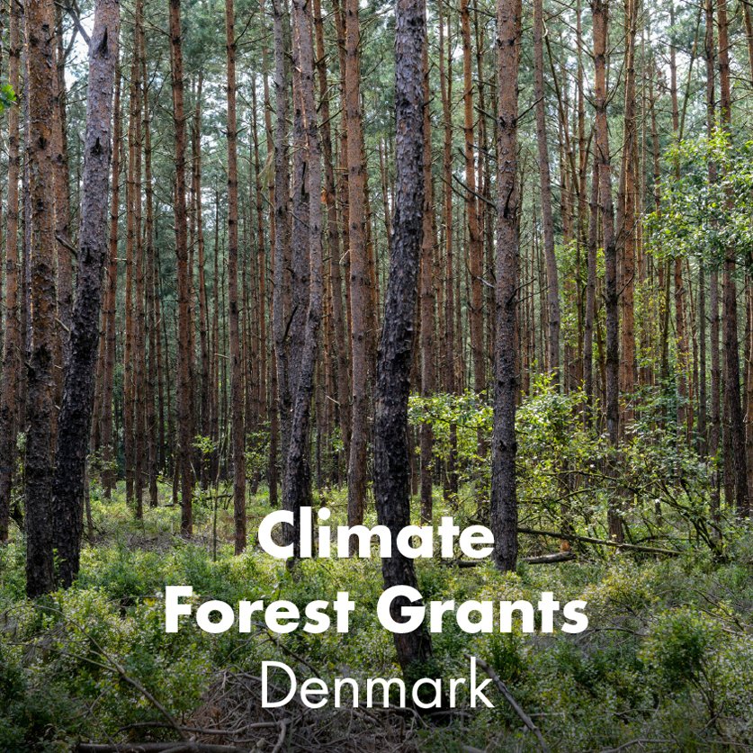 Climate Forrest Grants - Denmark