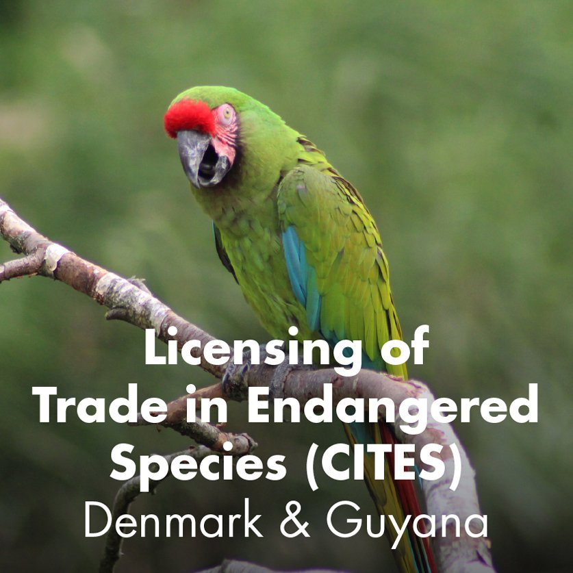 Licensing of Trade in endangered species (CITES) - Denmark