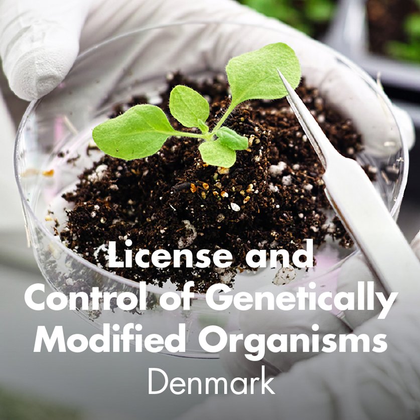 License and Control of Genetically Modified Organisms - Denmark