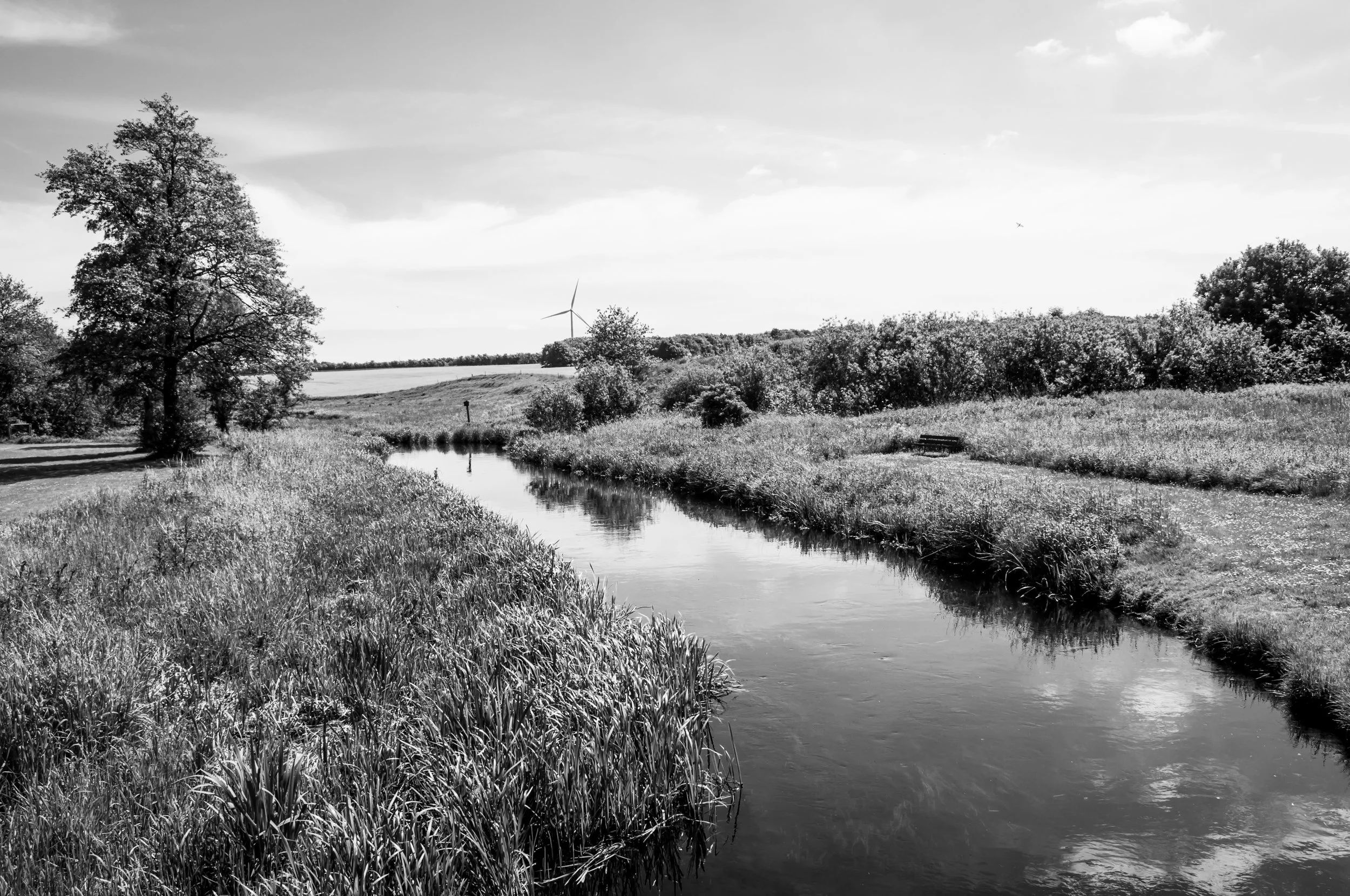 Lake and Stream Restoration.jpg