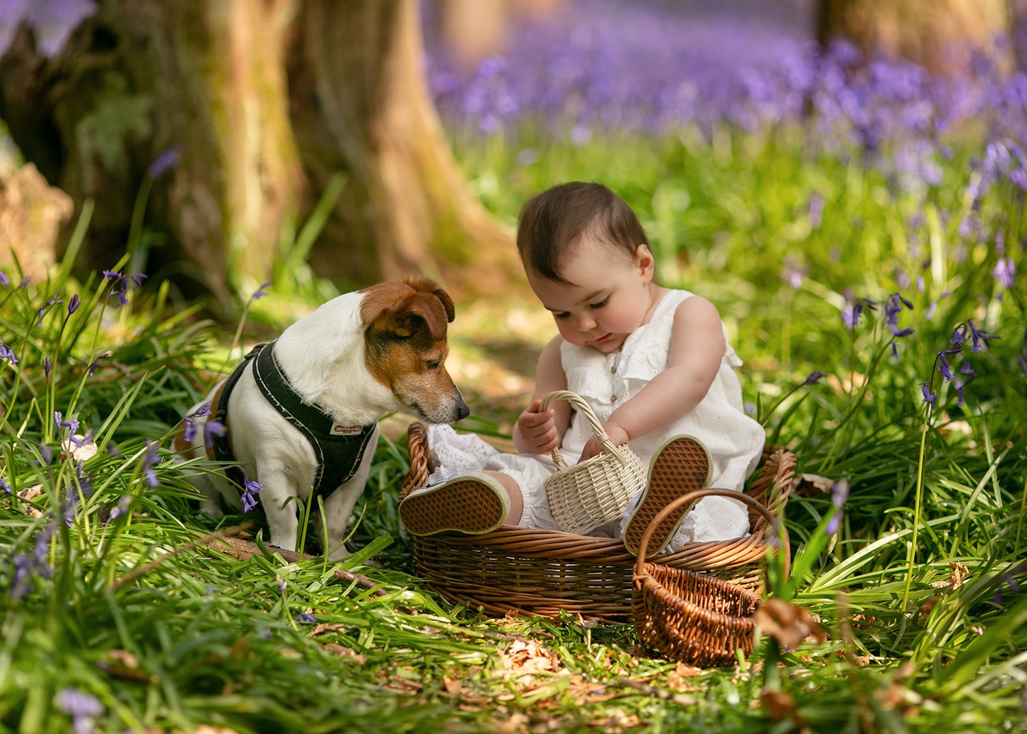 baby-and-dog-photography-cotswolds.jpg