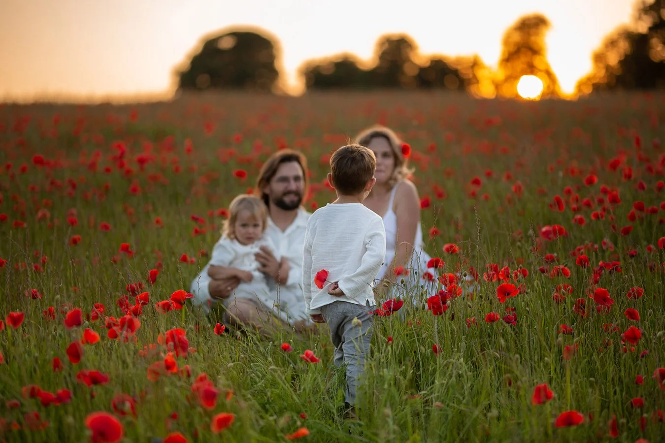 a family of four in a poppy field during a relaxed photoshoot in Cheltenham