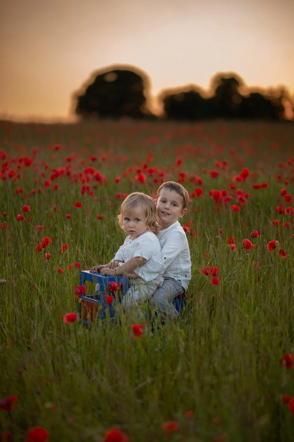 two boys sitting on a ride on car in the poppy field during a family photoshoot in Gloucestershire