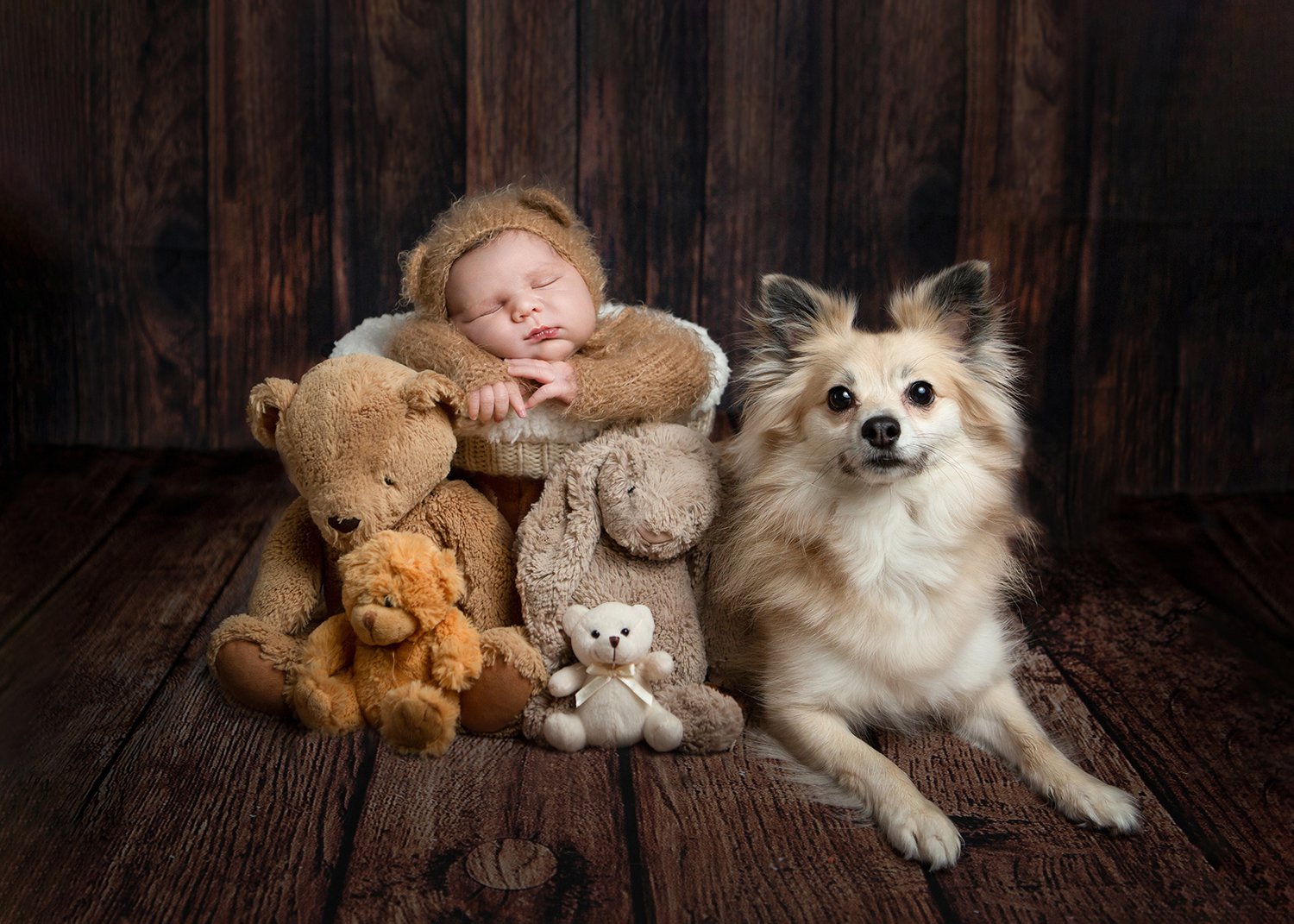 cheltenham-newborn-and-dog-photography.jpg