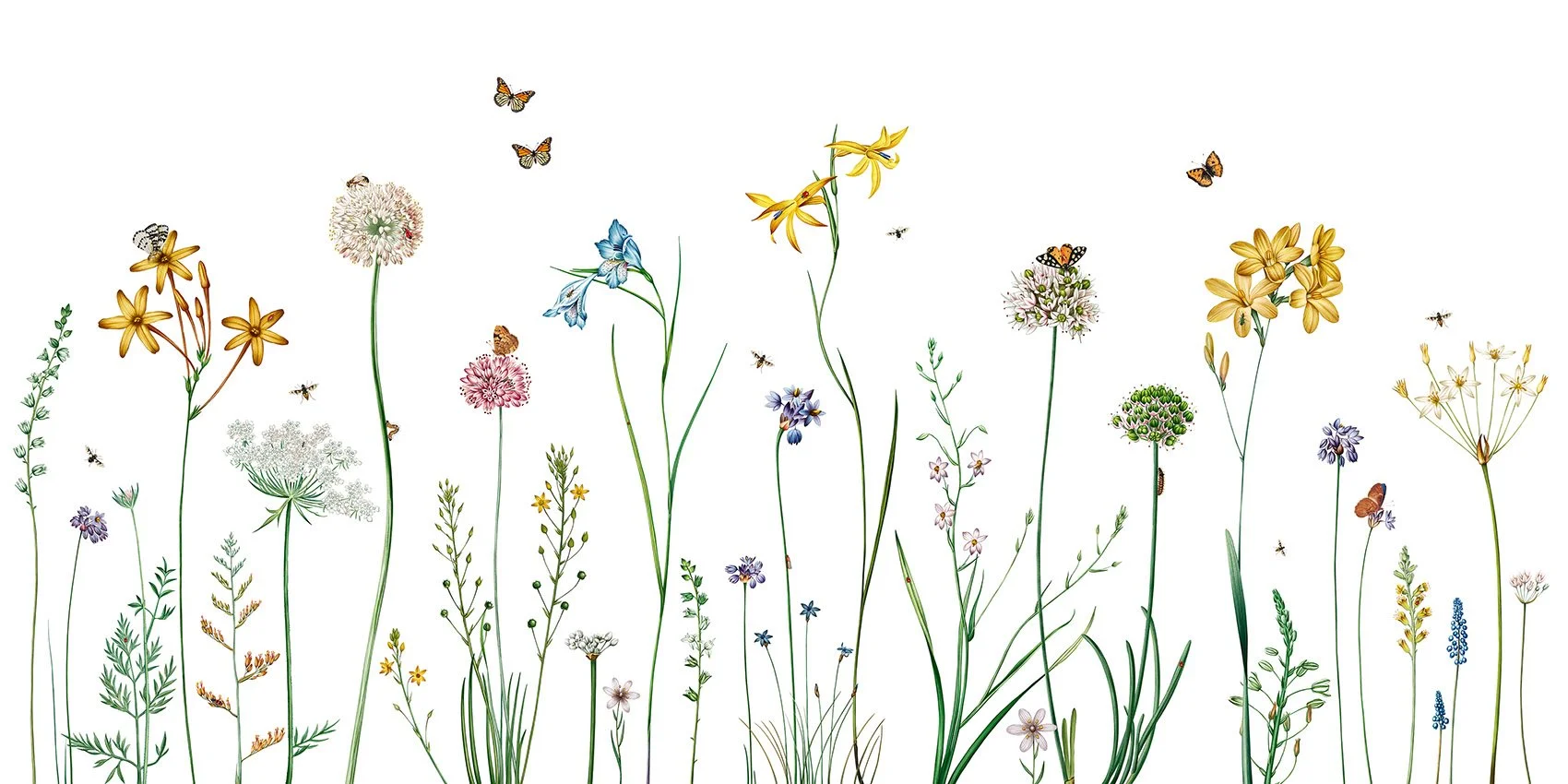Butterfly Garden