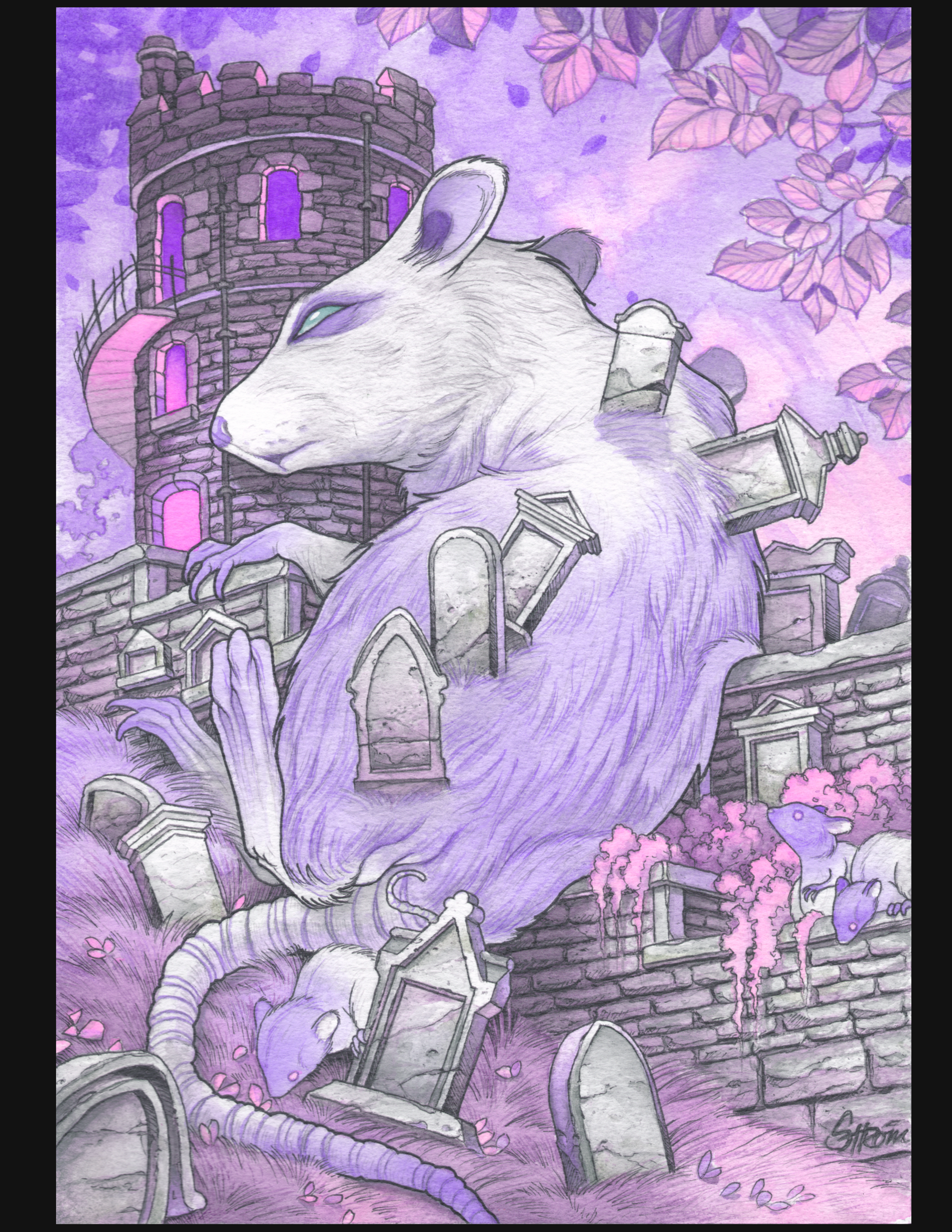 IMG_7252.png