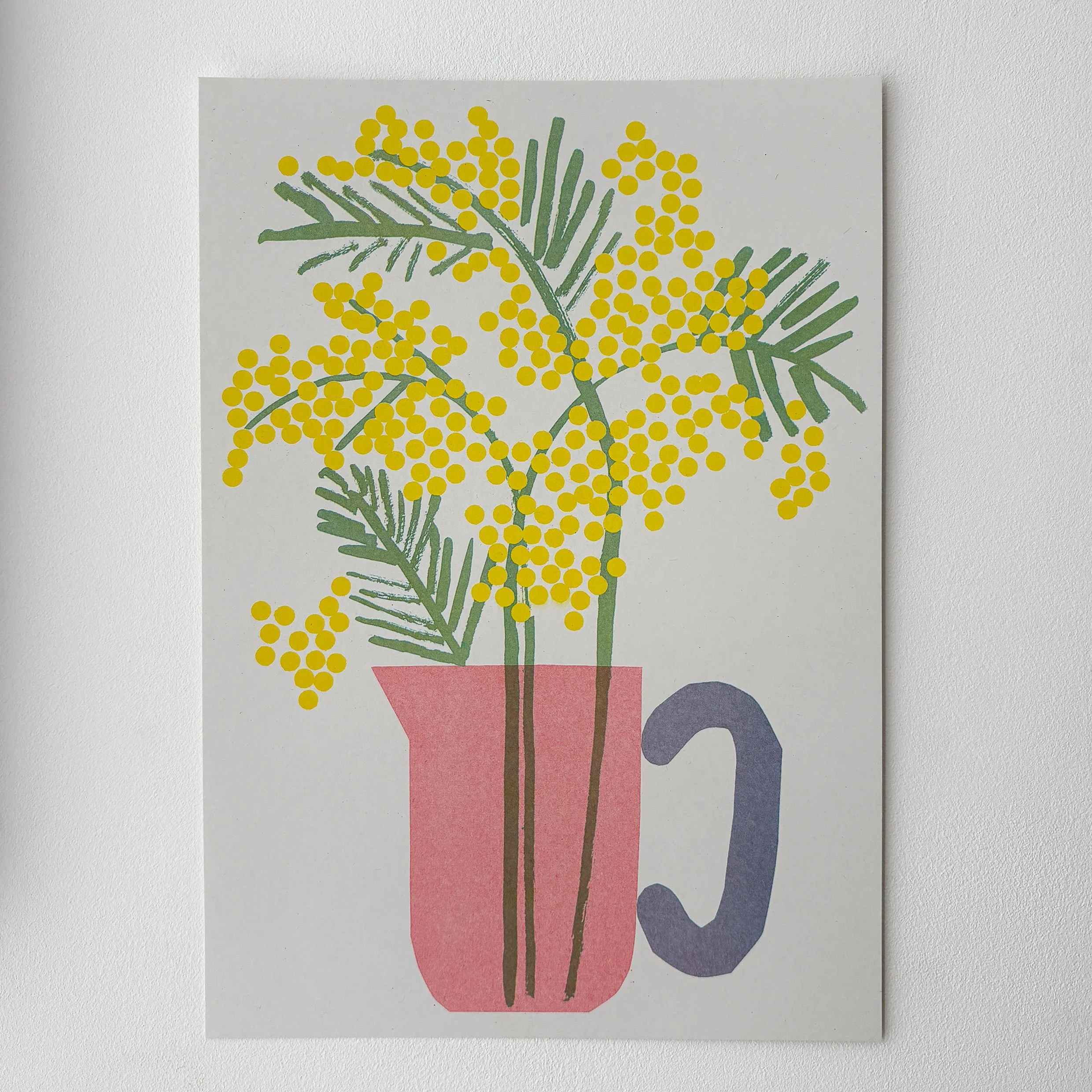 Mimosa-1.jpg