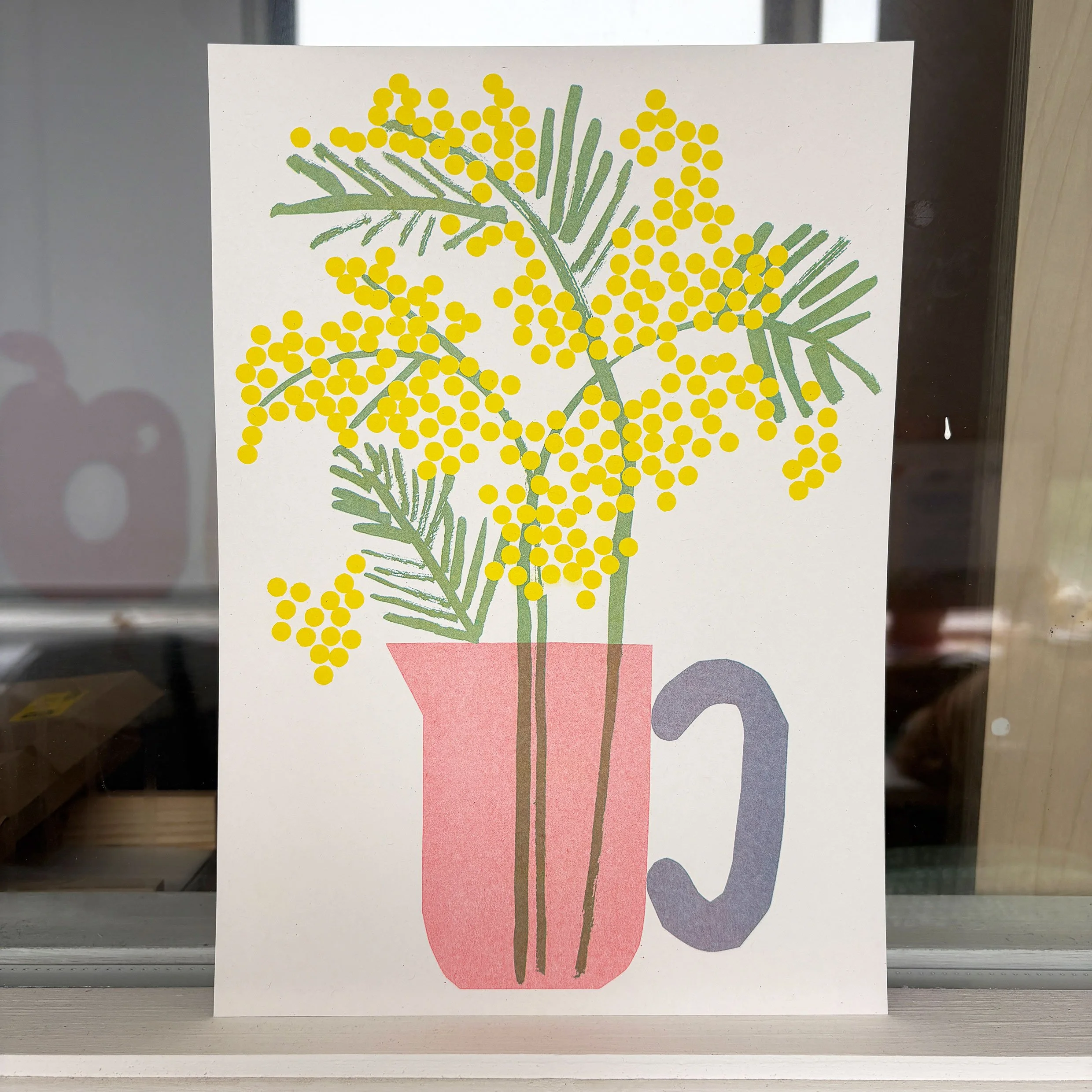 Mimosa-3.jpg