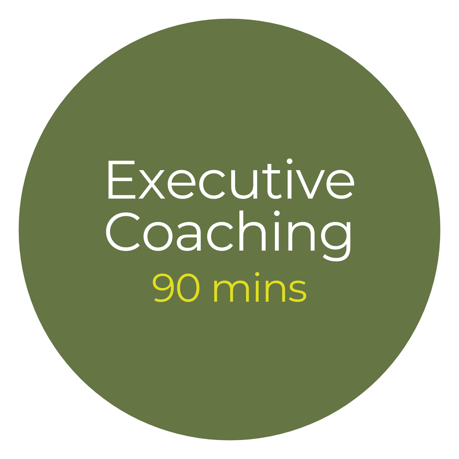 Green circular badge with white and yellow text reading 'Executive Coaching 90 mins'.