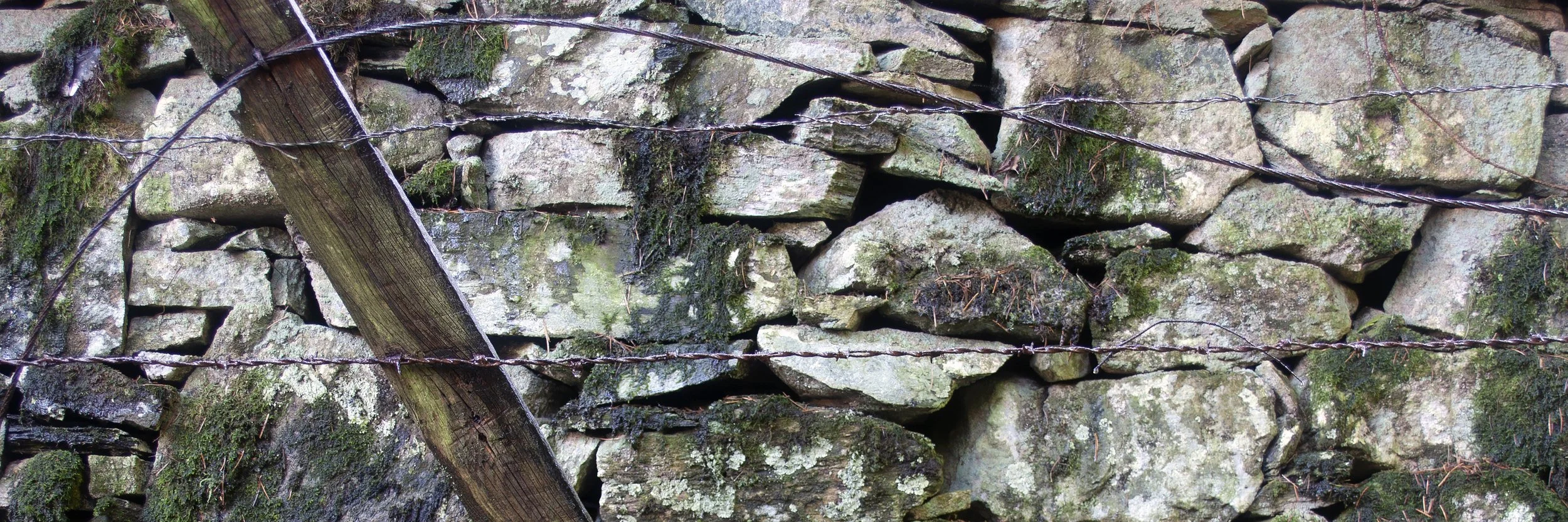 Unfinished Movement [Barbed Wire 1] 2022